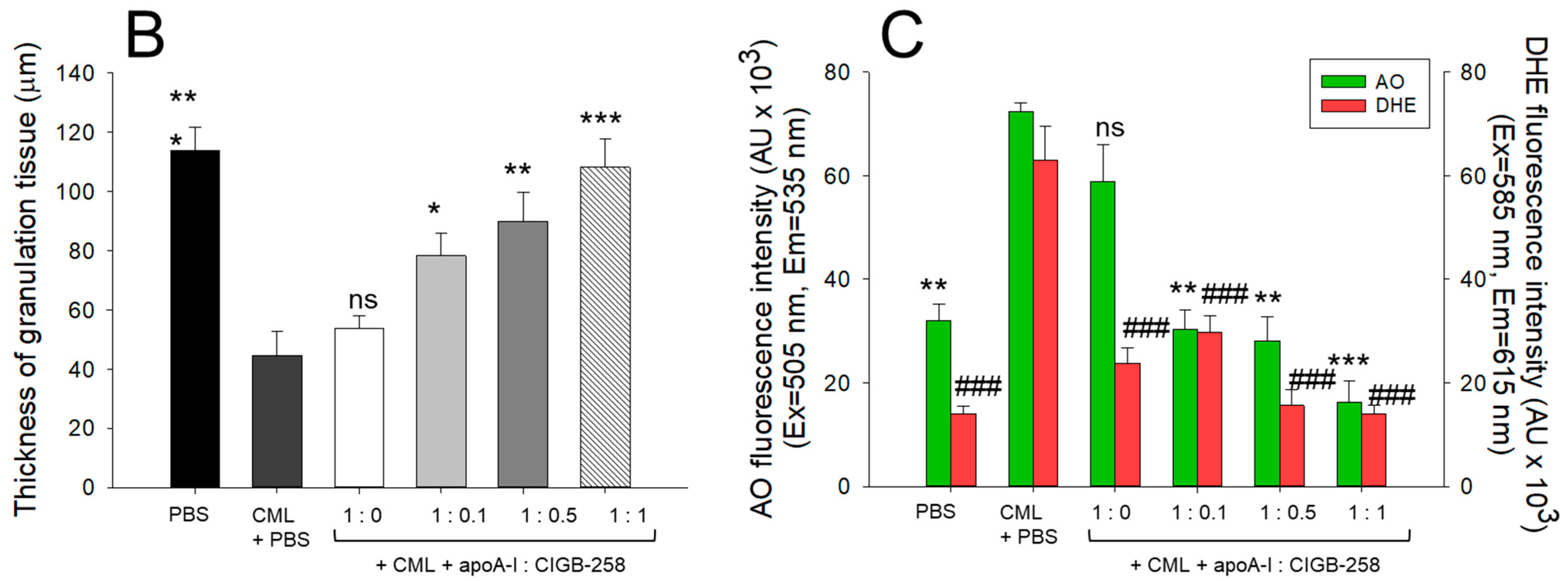 Antioxidants 13 01049 g007b