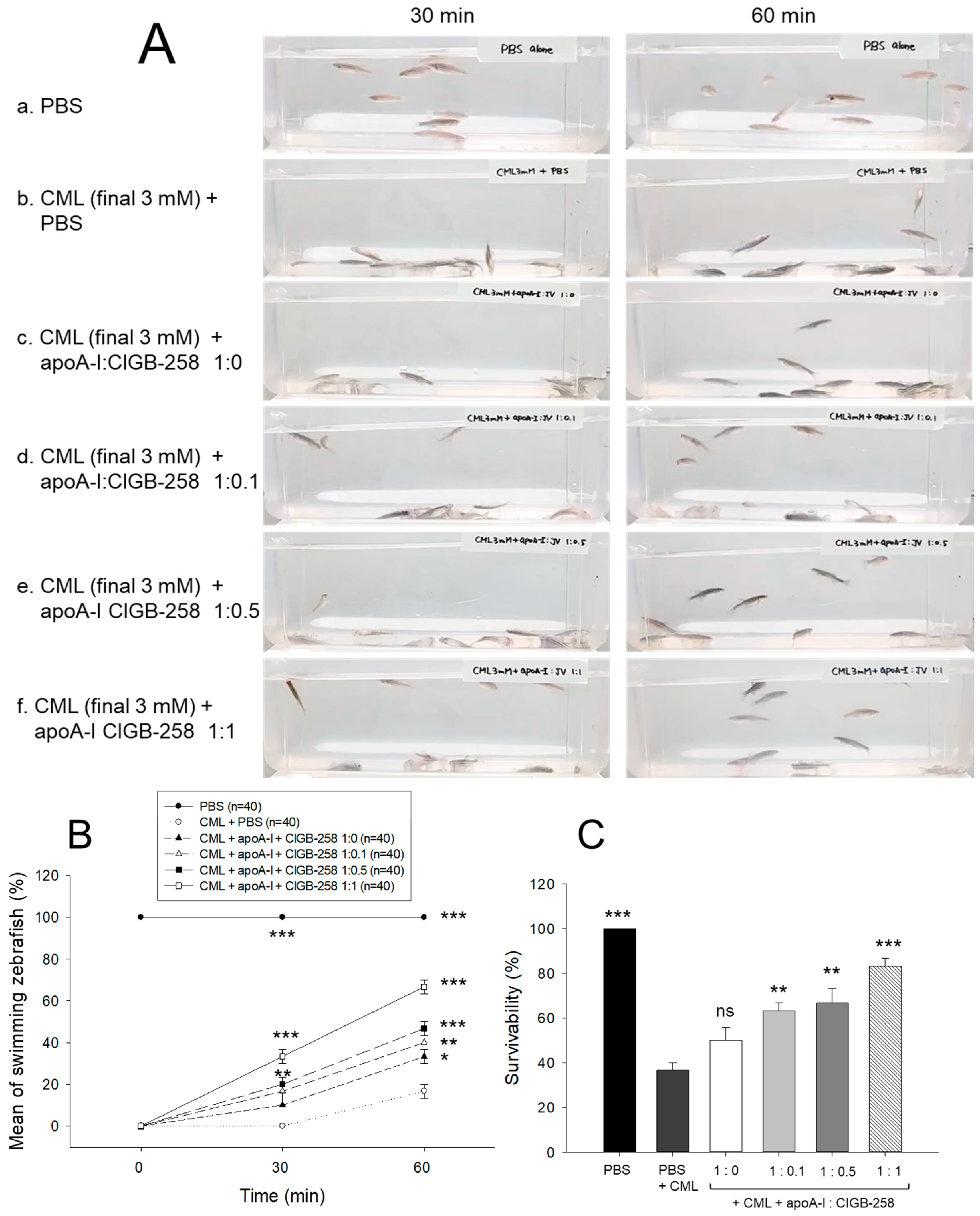 Antioxidants 13 01049 g008