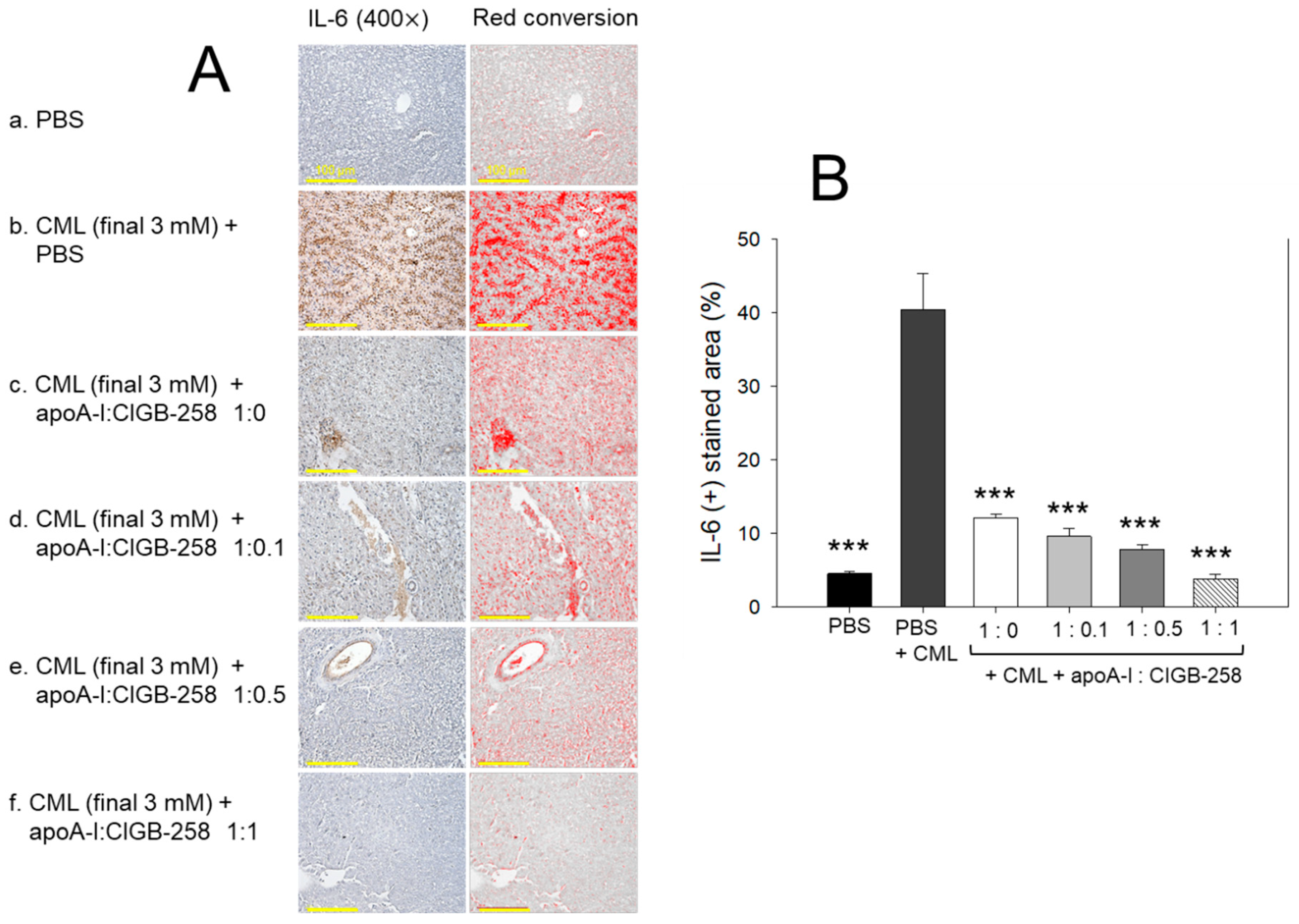 Antioxidants 13 01049 g010