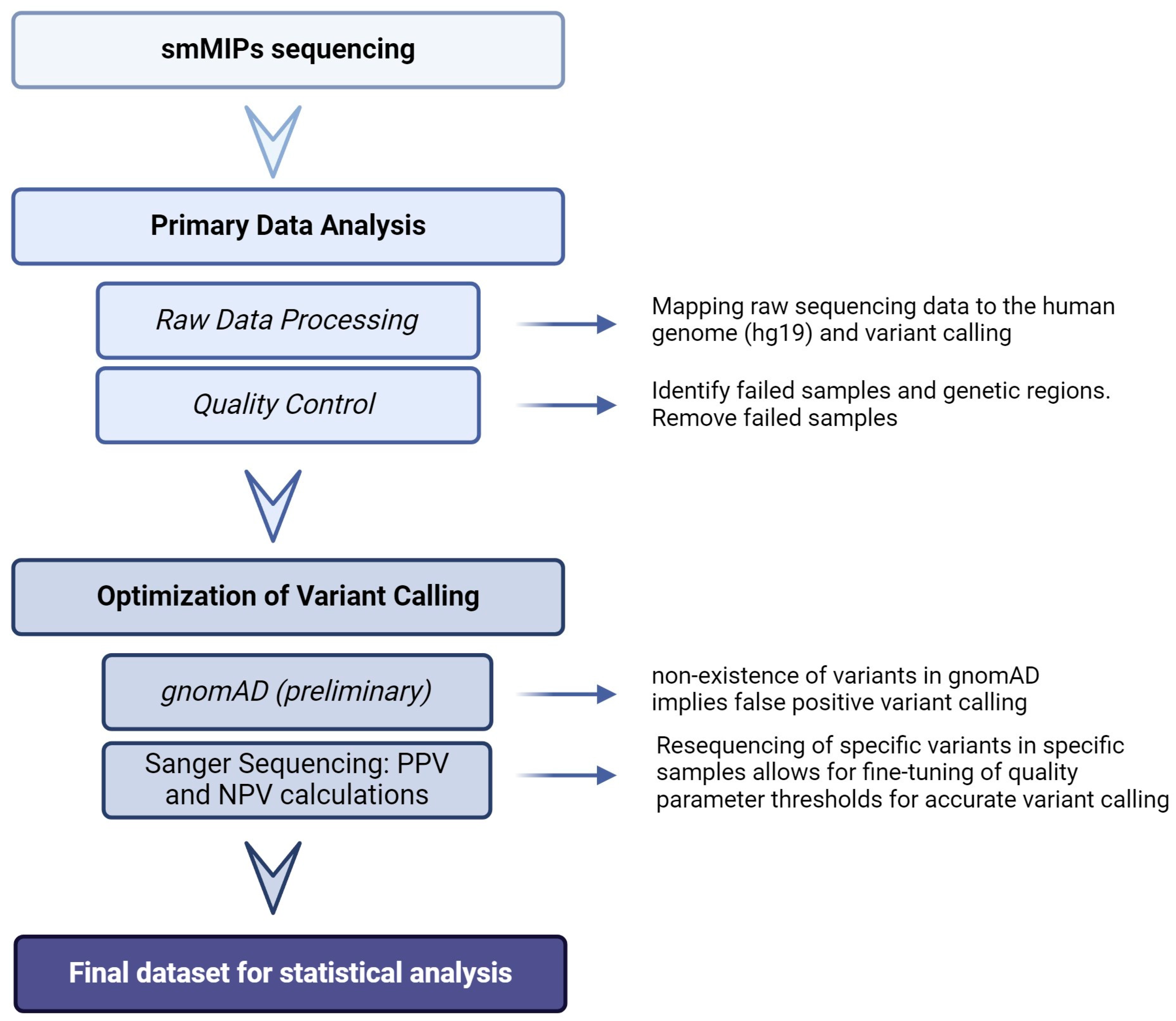 Antioxidants 13 01051 g001