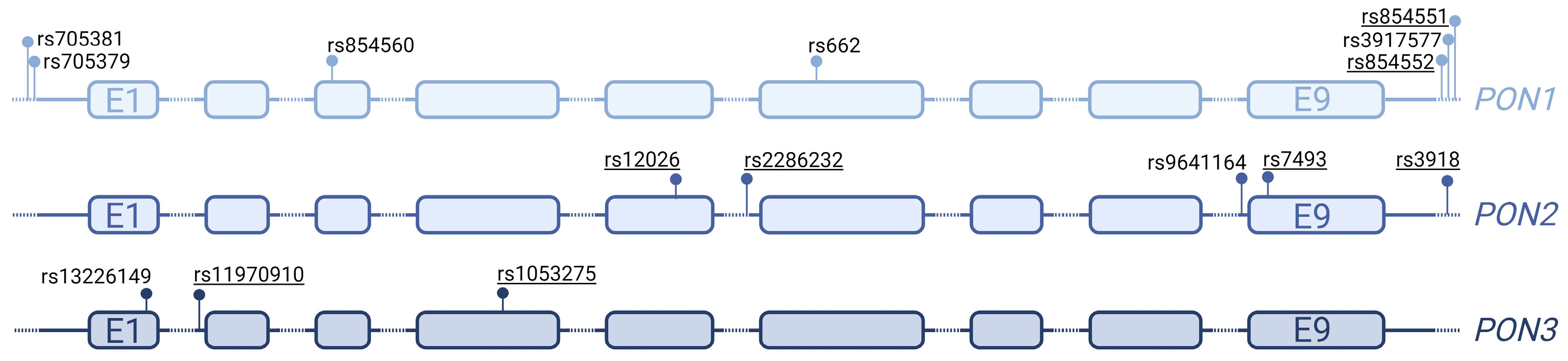 Antioxidants 13 01051 g002