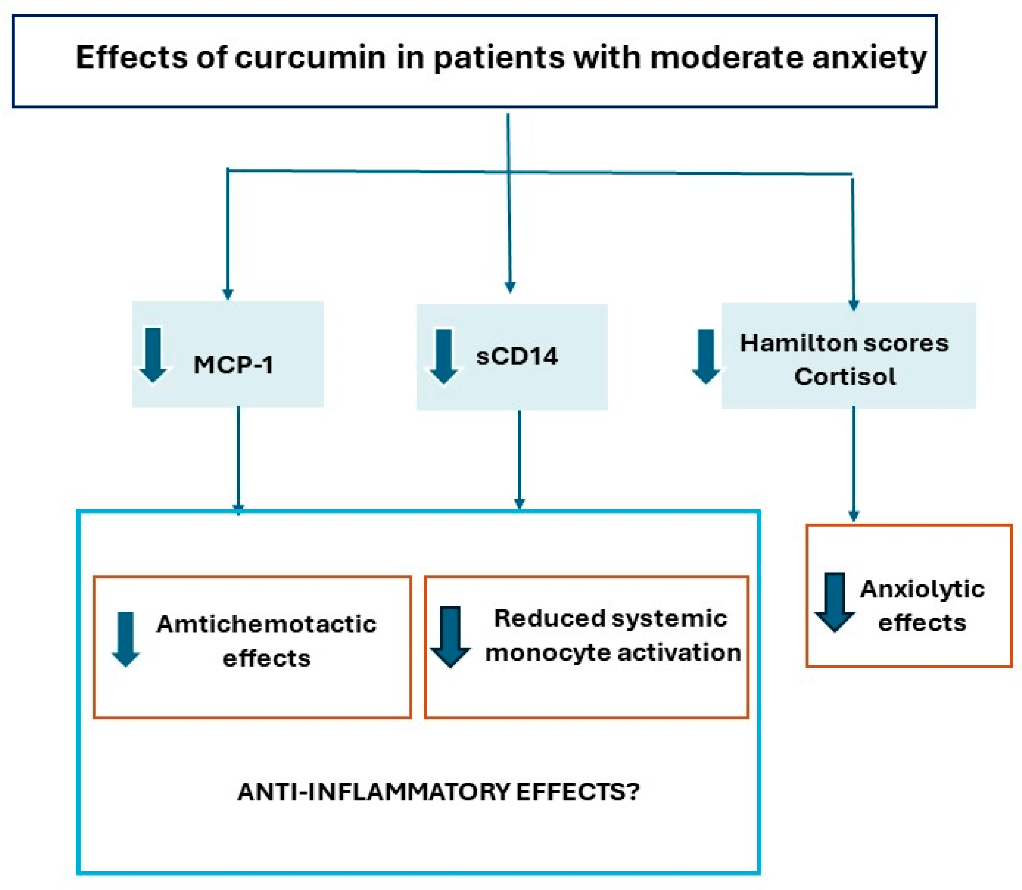 Antioxidants 13 01052 g006