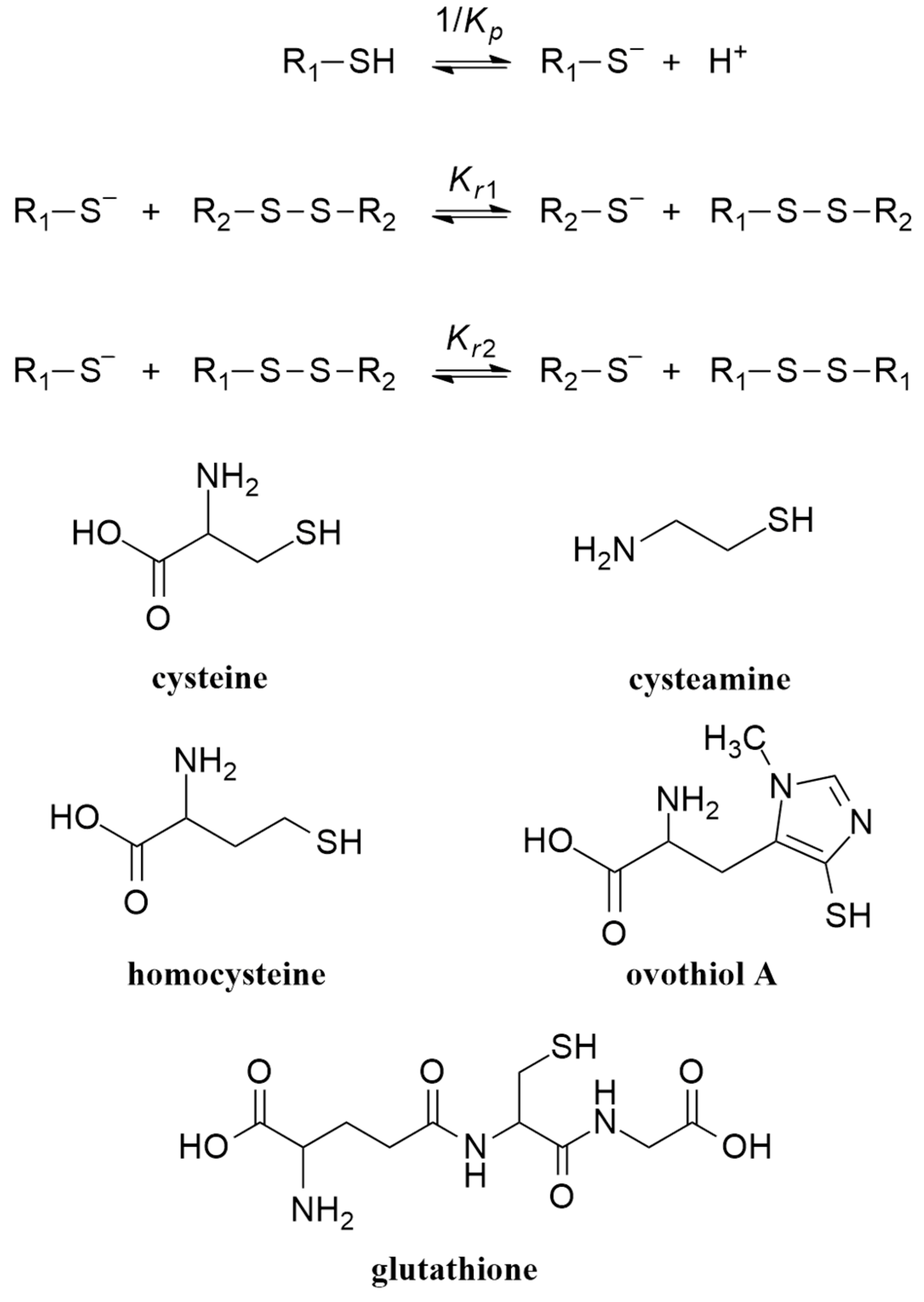 Antioxidants 13 01053 g001