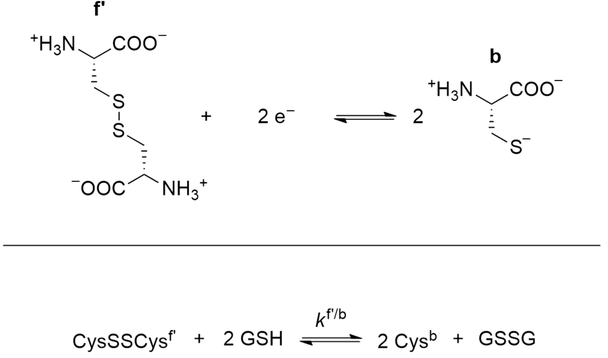 Antioxidants 13 01053 g003