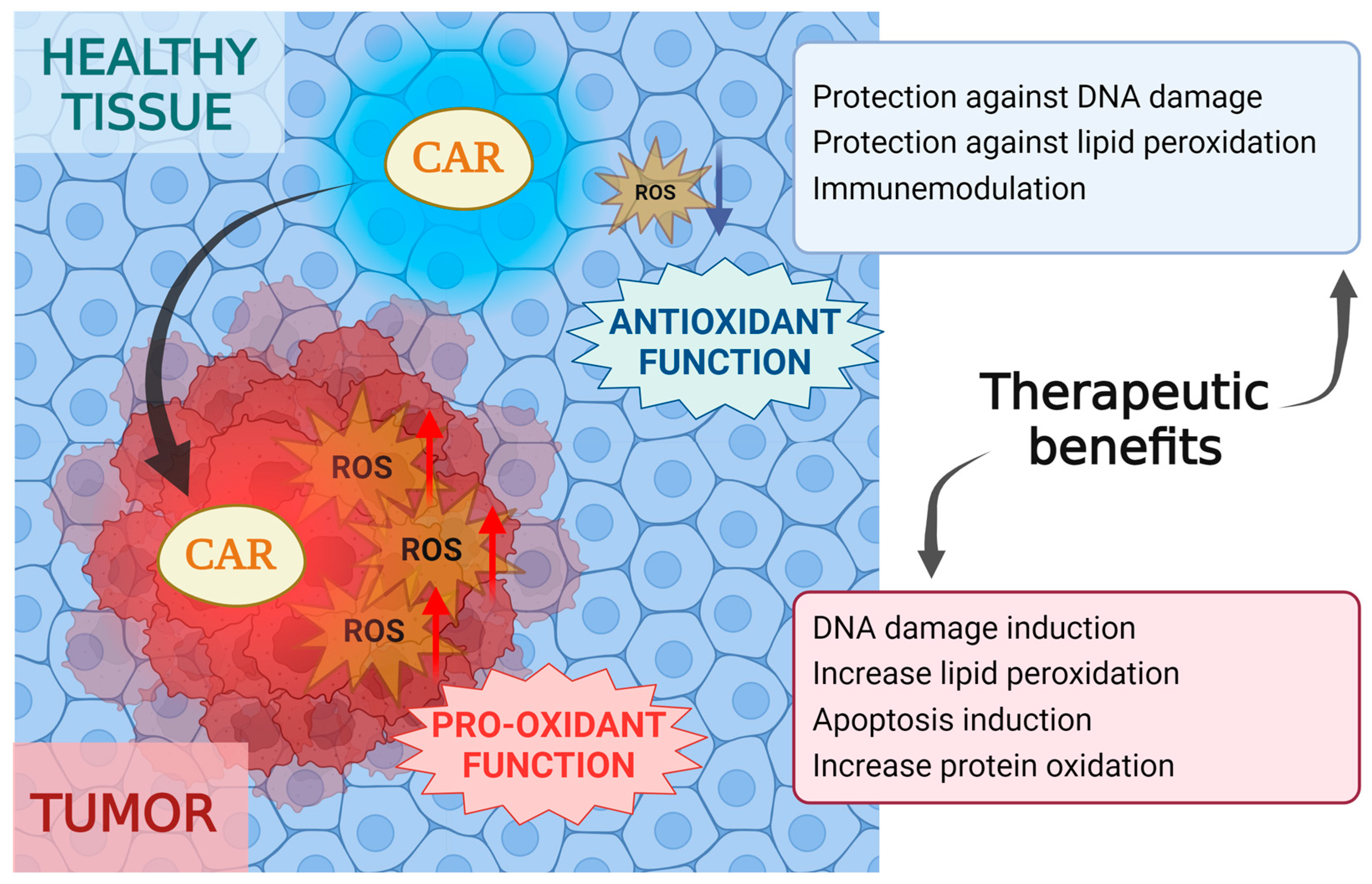 Antioxidants 13 01060 g002