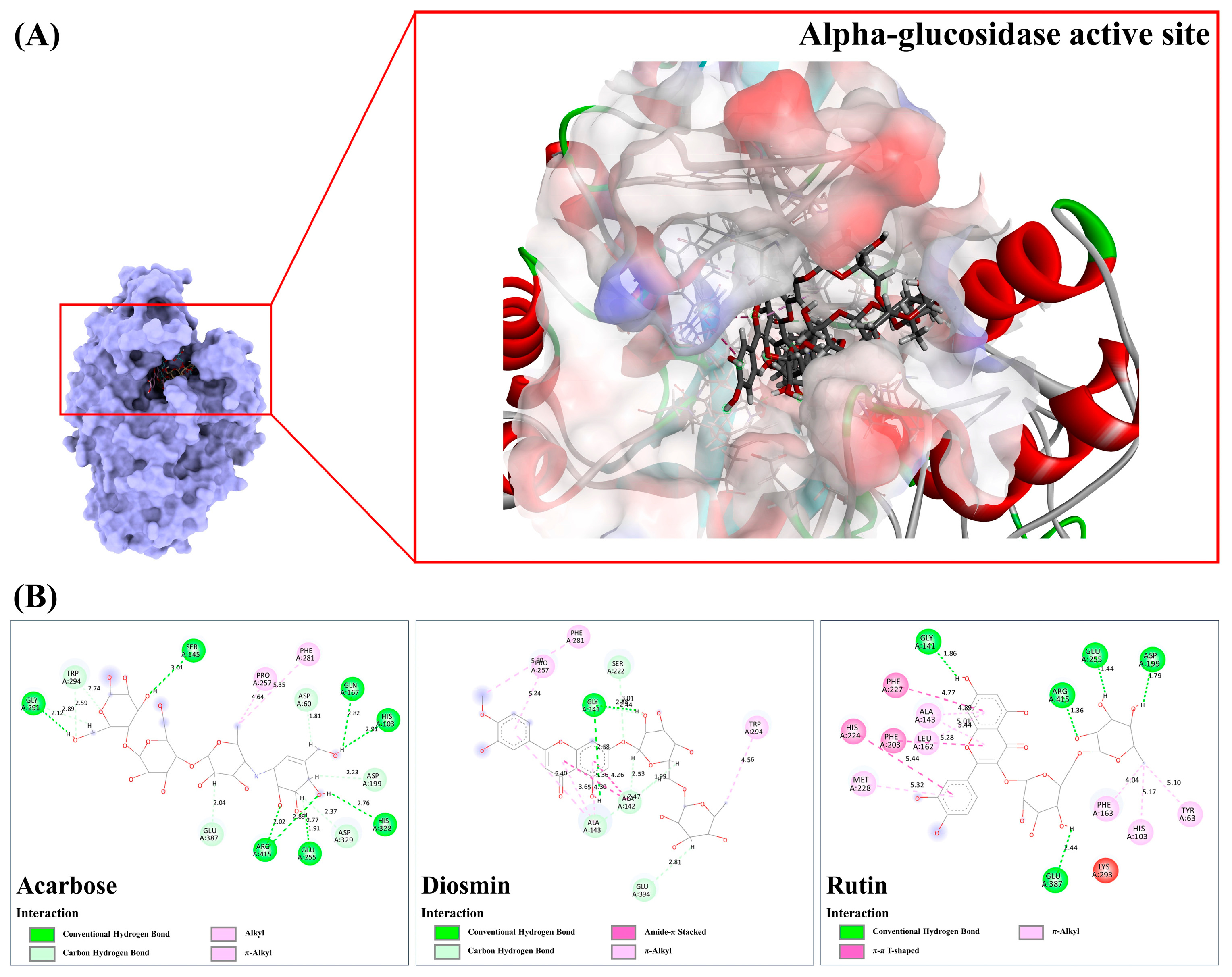 Antioxidants 13 01064 g010