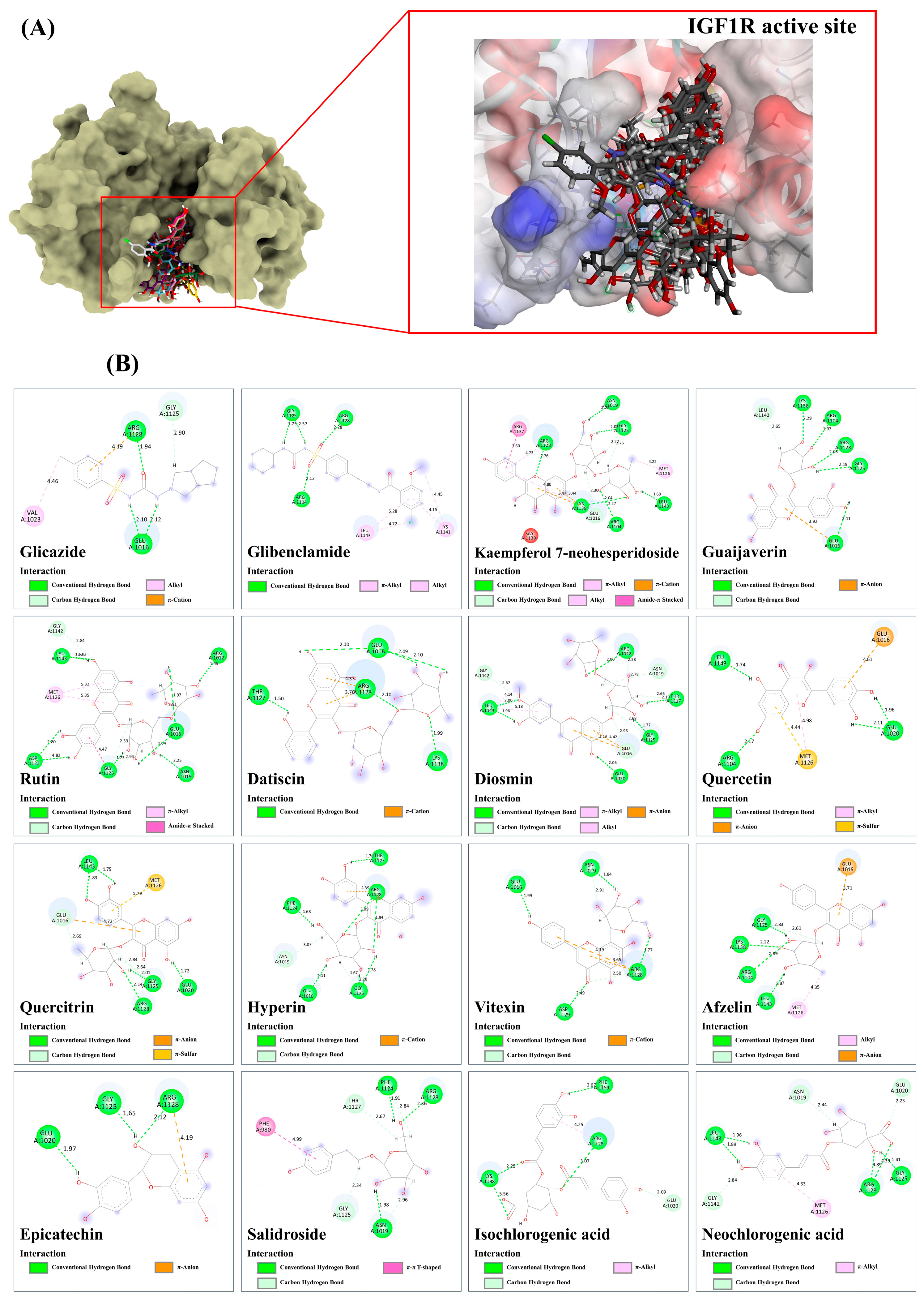 Antioxidants 13 01064 g013
