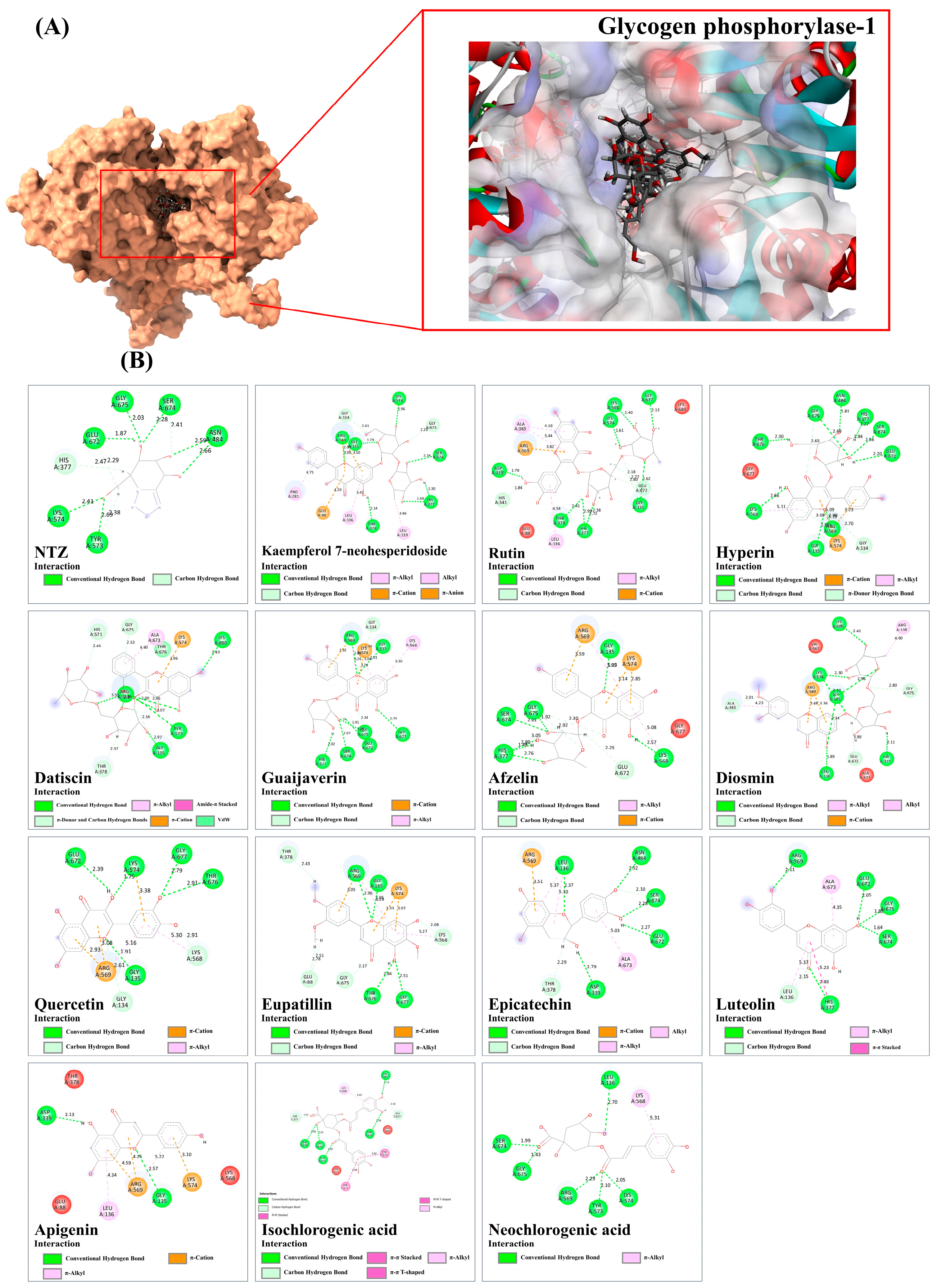 Antioxidants 13 01064 g015
