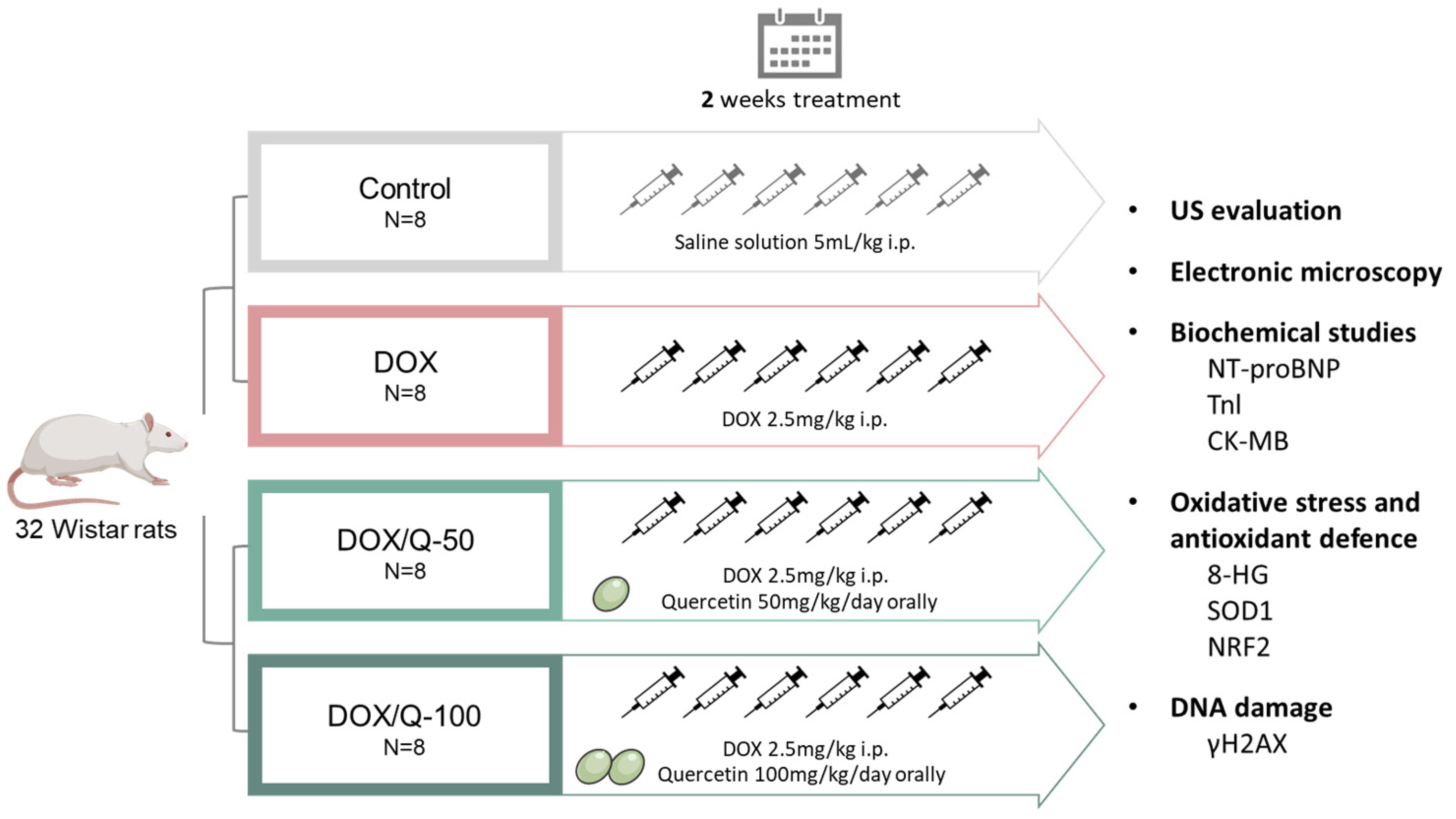 Antioxidants 13 01068 g001