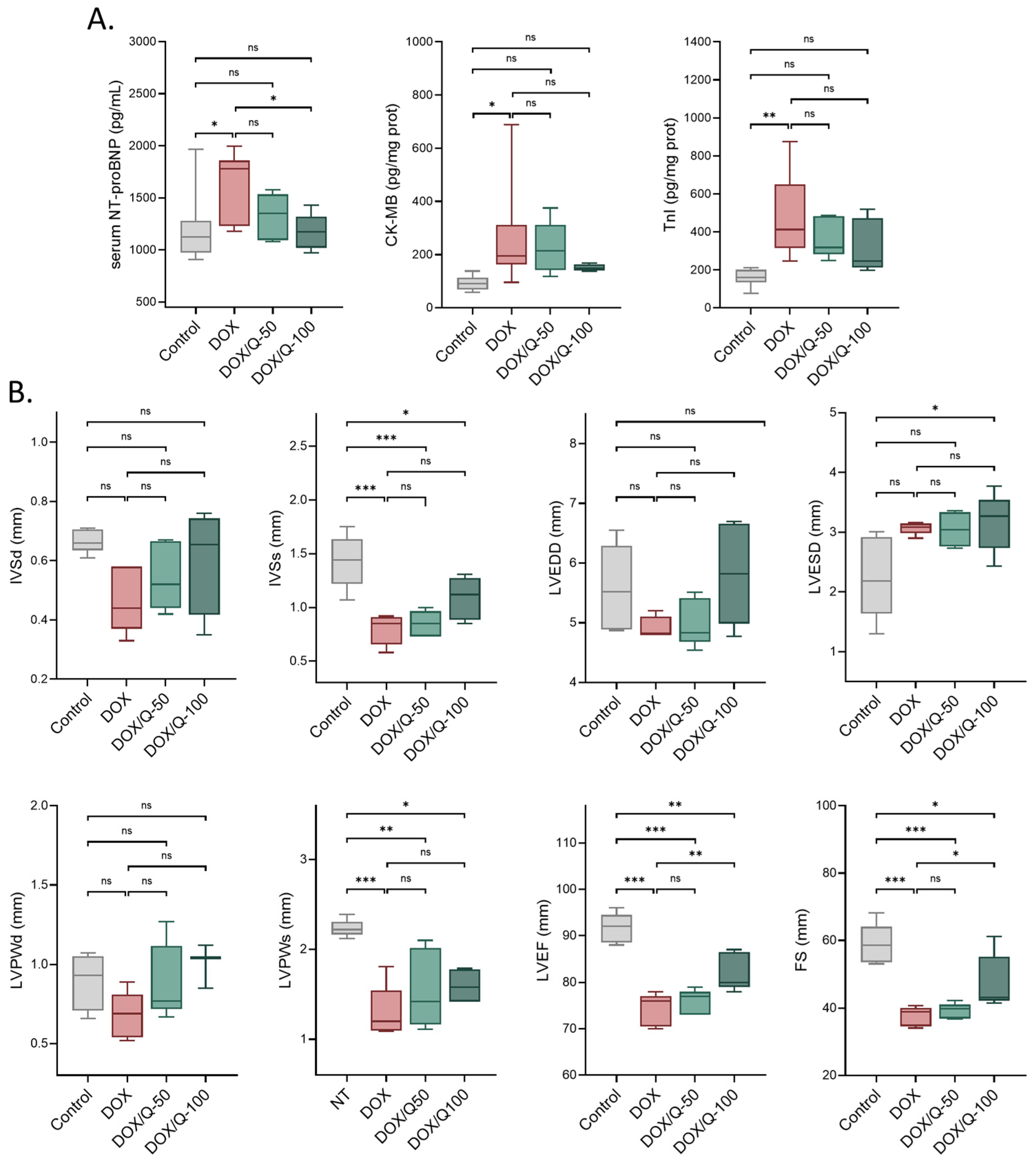 Antioxidants 13 01068 g002