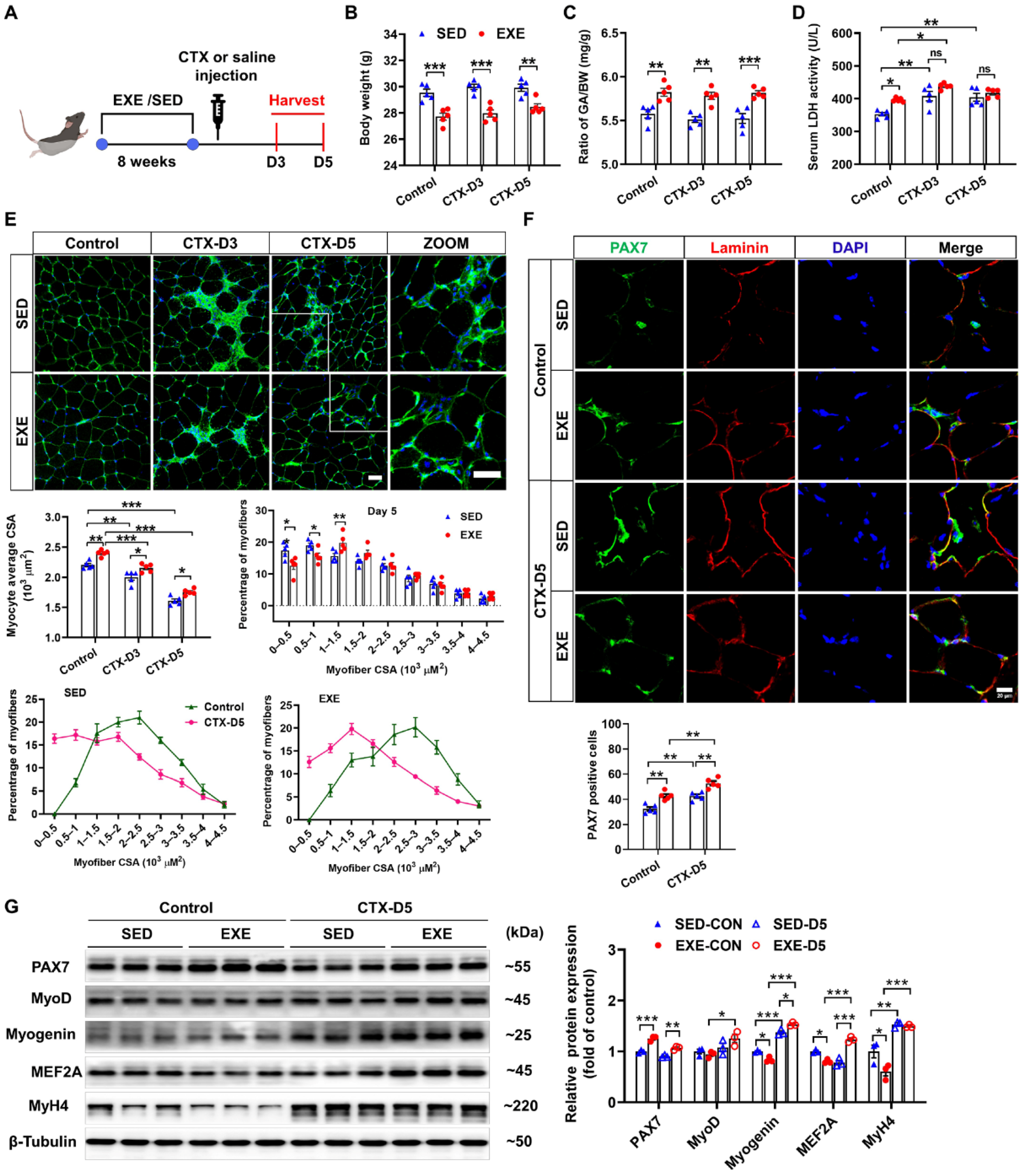 Antioxidants 13 01069 g001