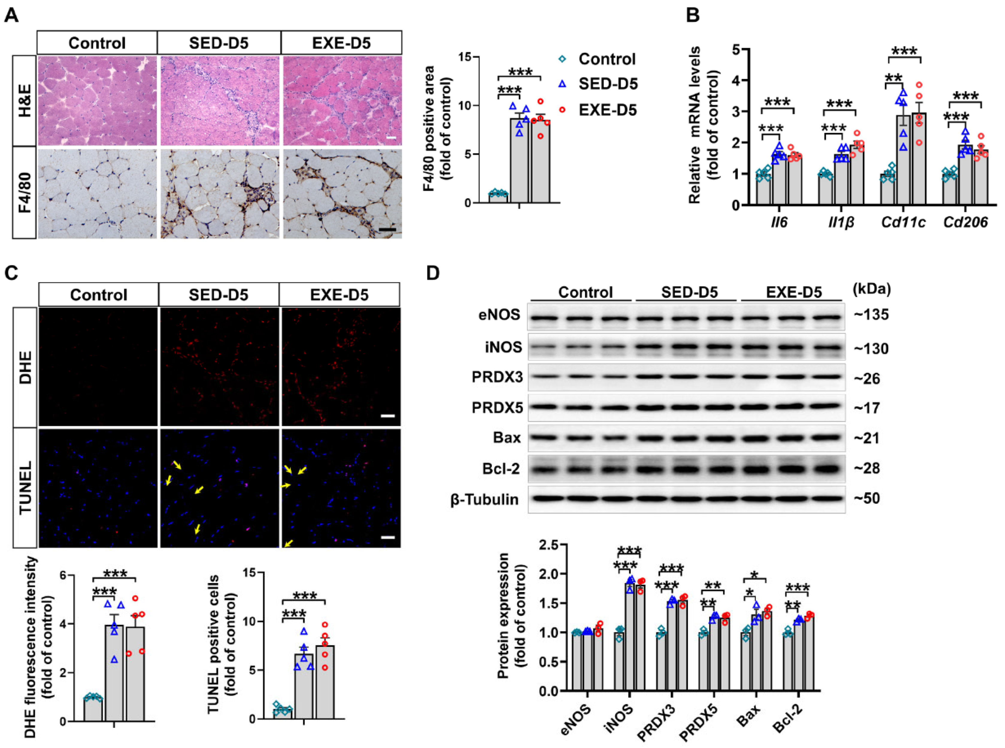 Antioxidants 13 01069 g006
