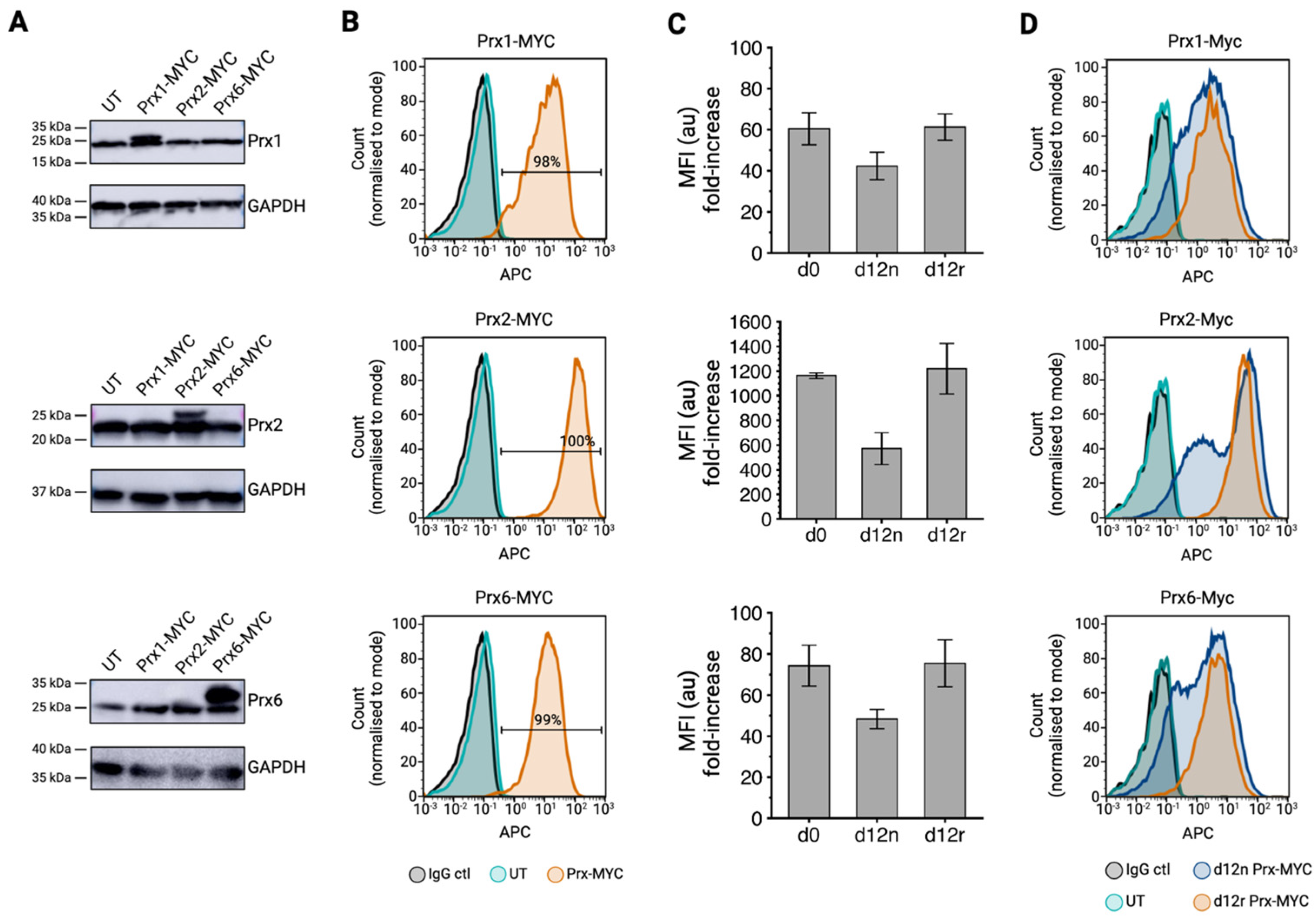 Antioxidants 13 01070 g001