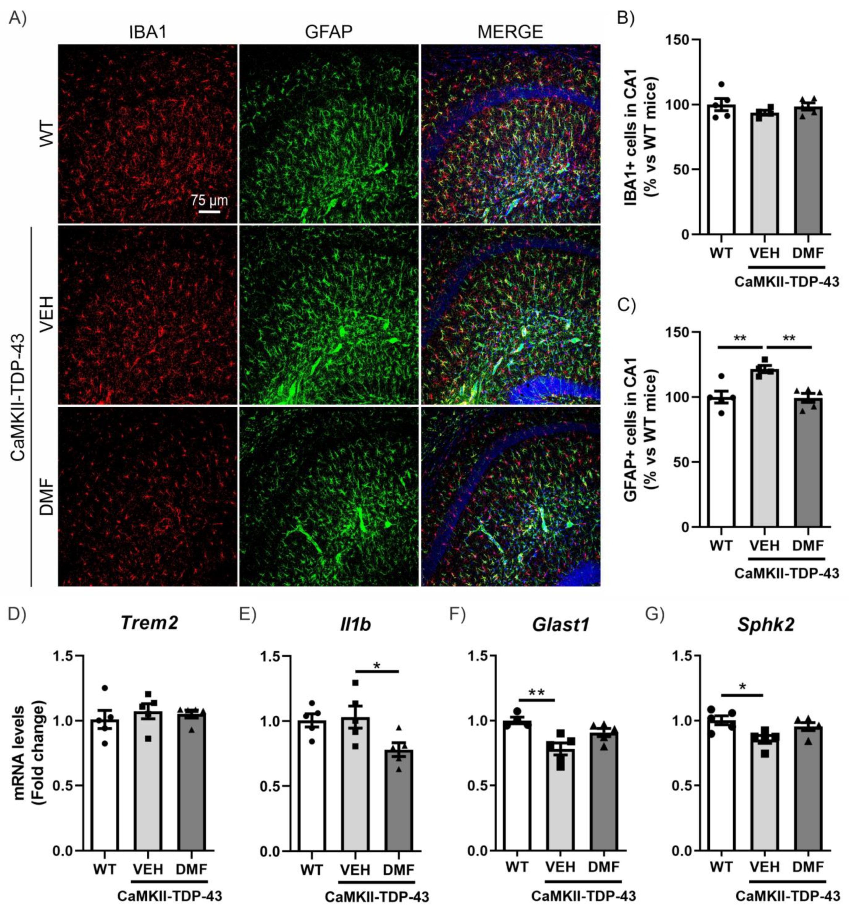 Antioxidants 13 01072 g003