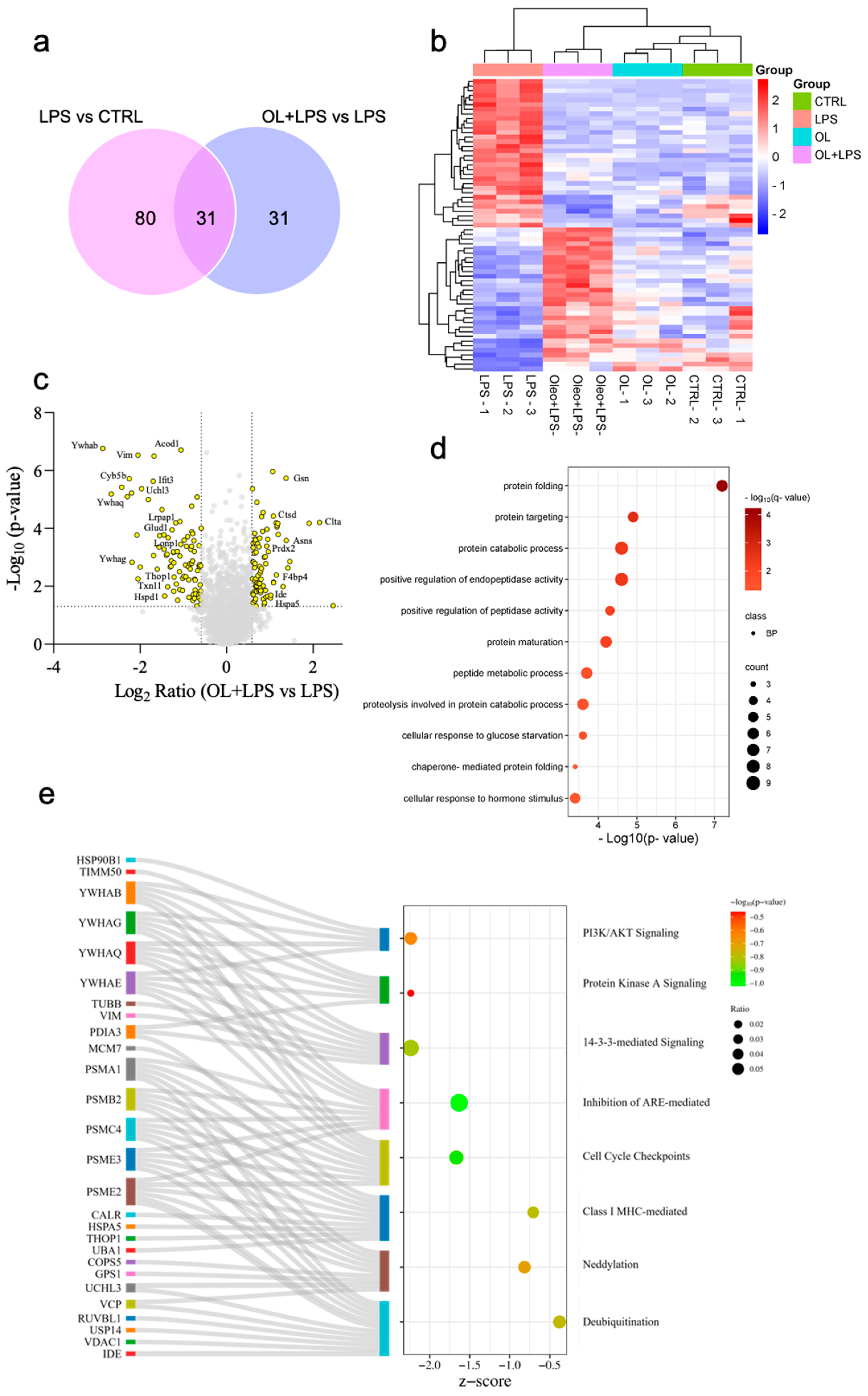 Antioxidants 13 01074 g012