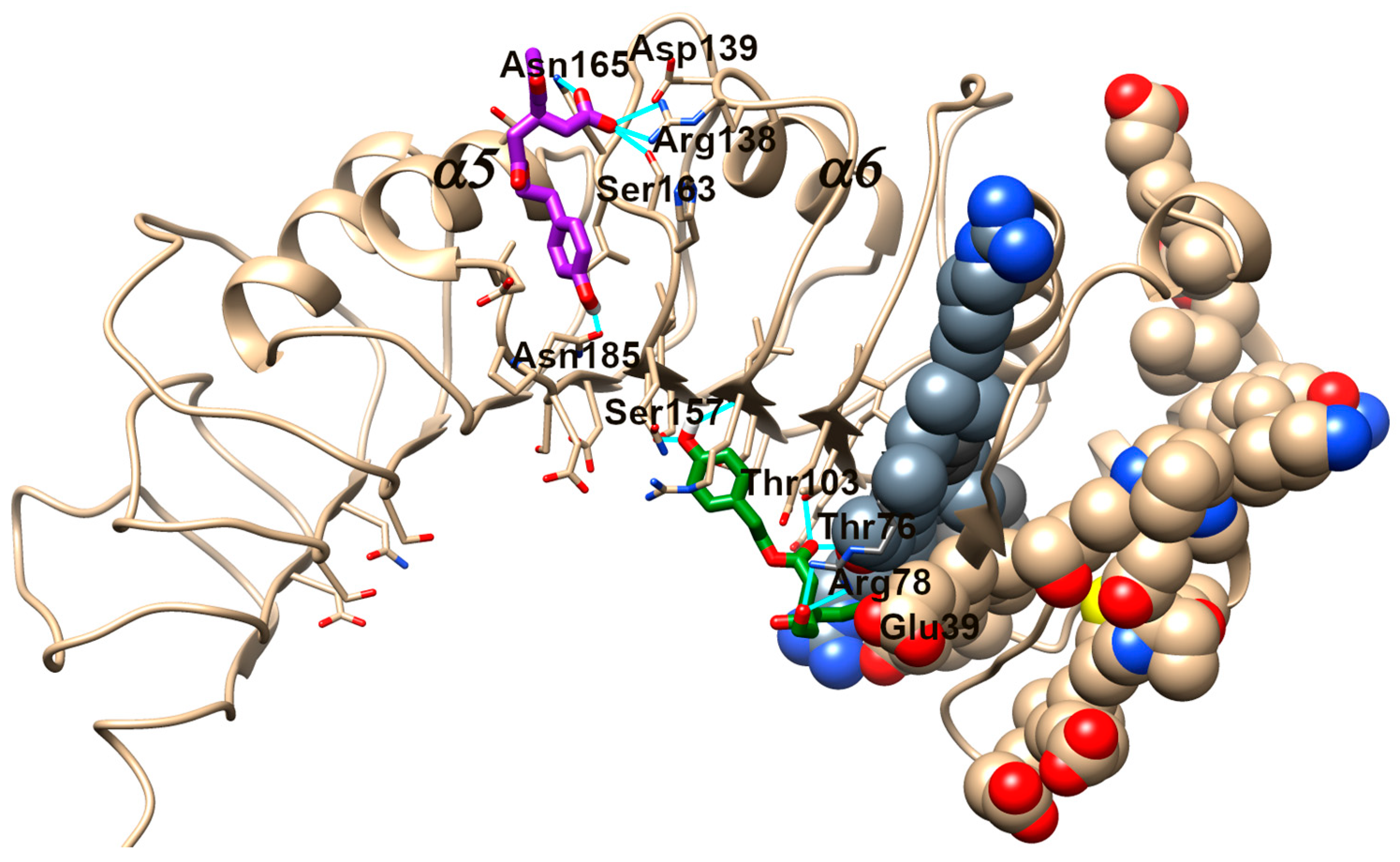 Antioxidants 13 01074 g013