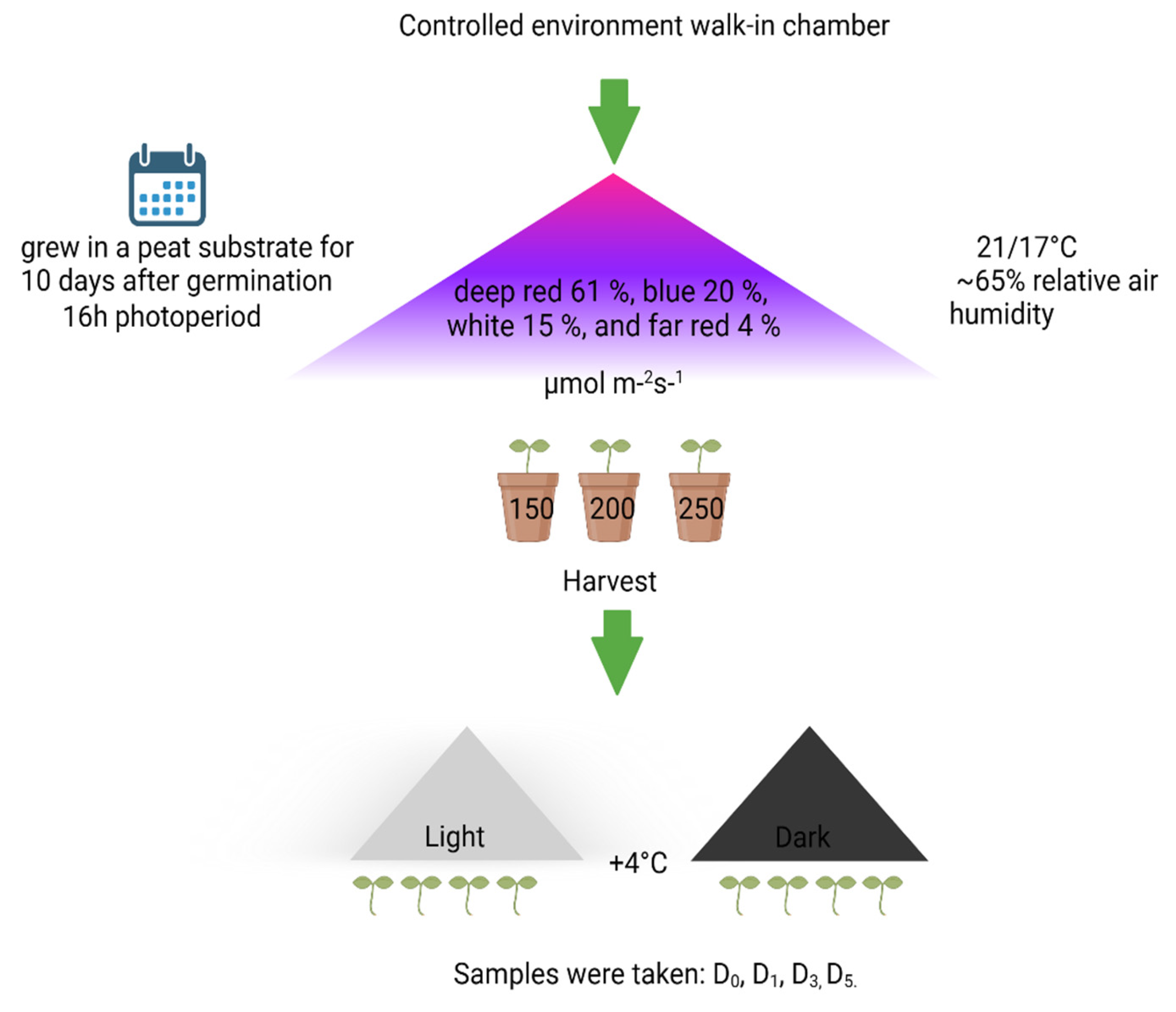 Antioxidants 13 01075 g001