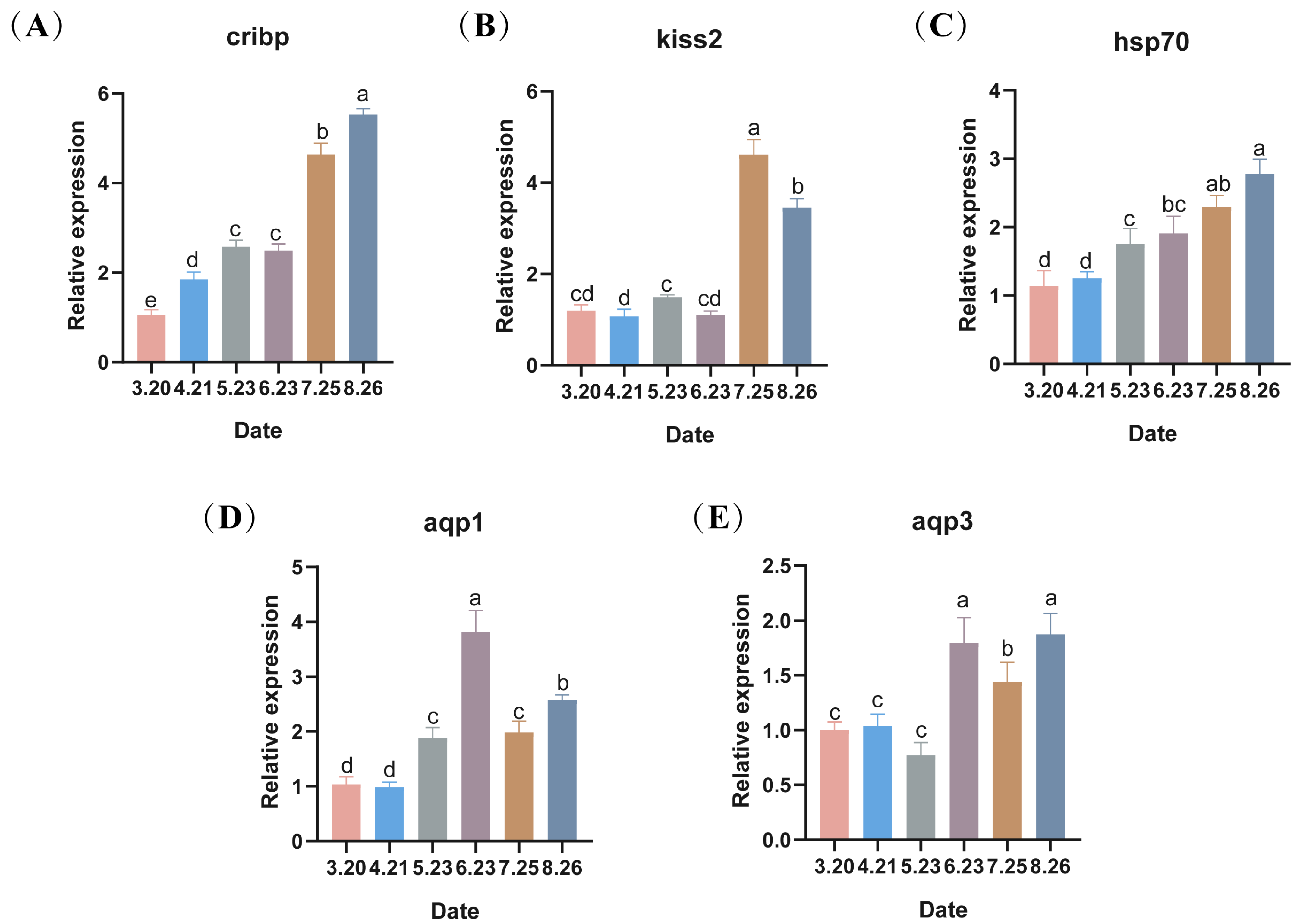 Antioxidants 13 01077 g005