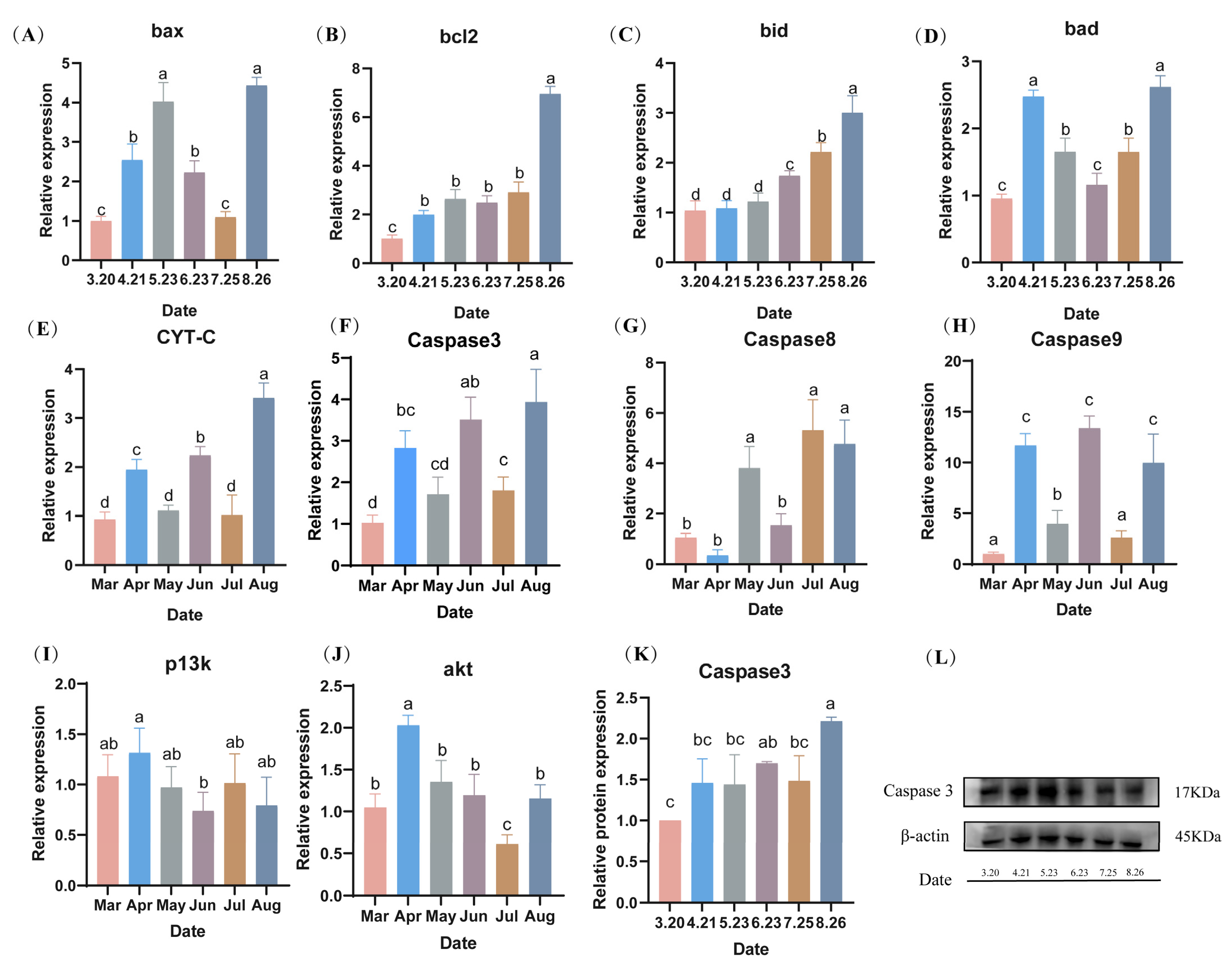 Antioxidants 13 01077 g008