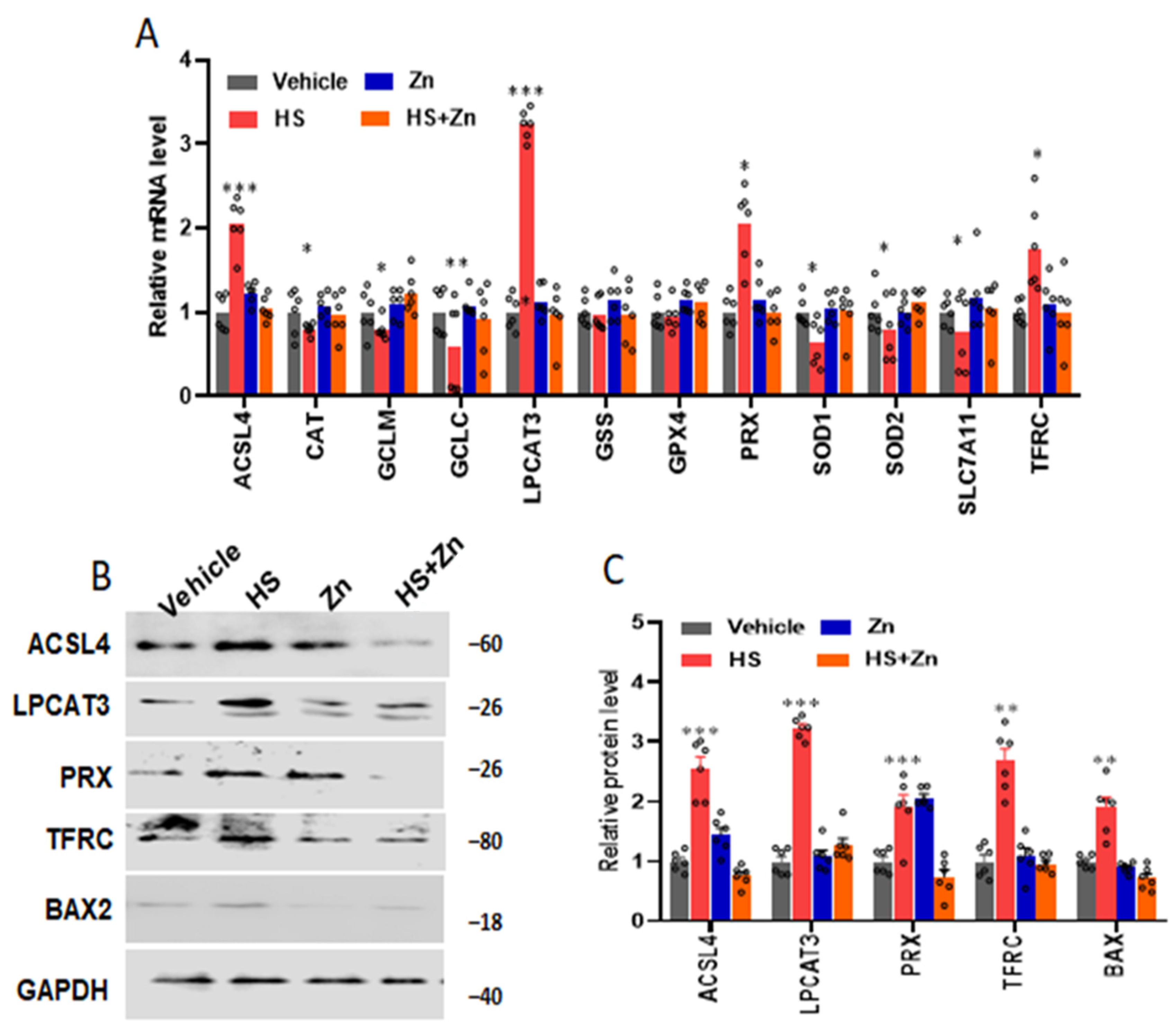 Antioxidants 13 01079 g004
