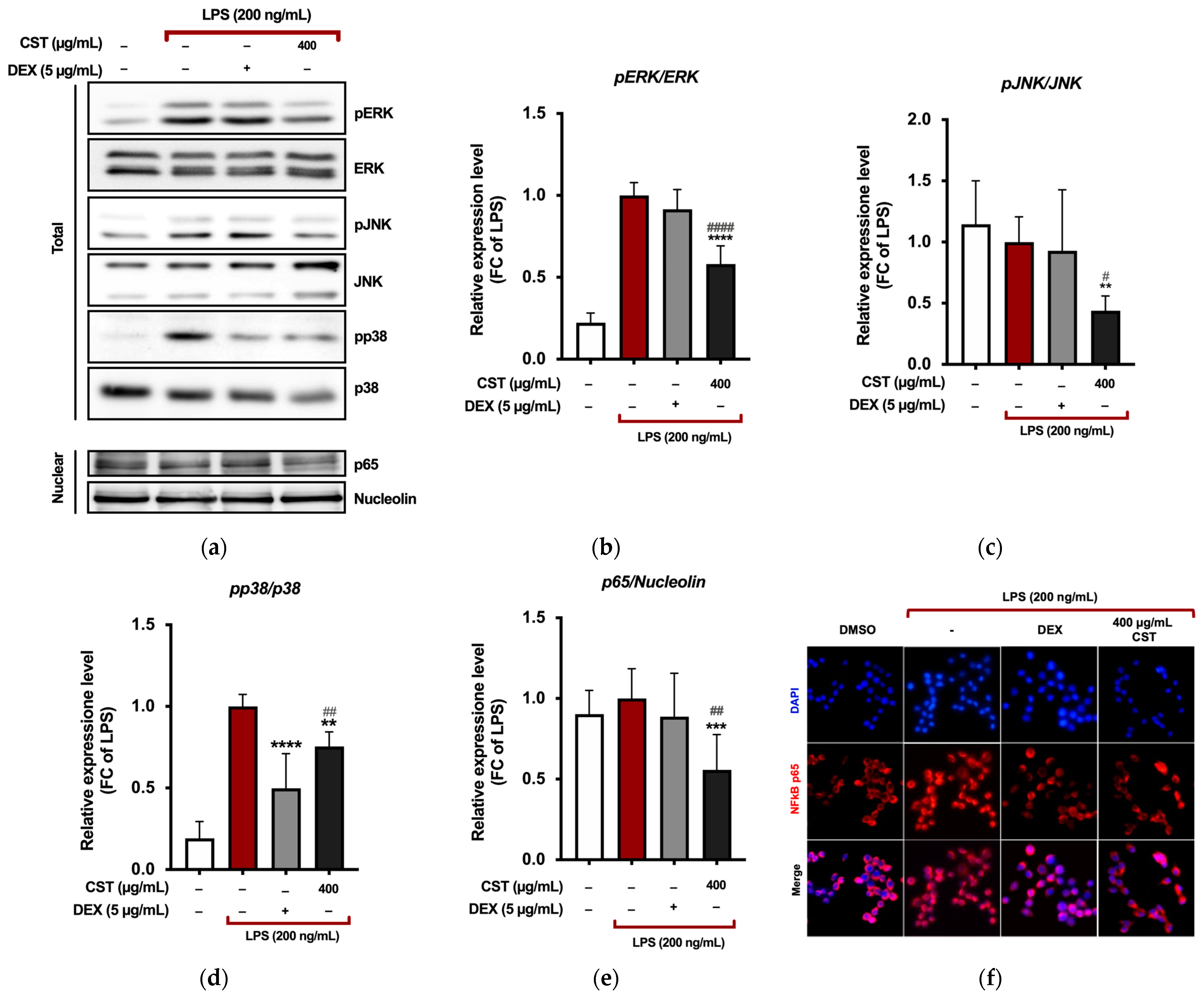 Antioxidants 13 01082 g004