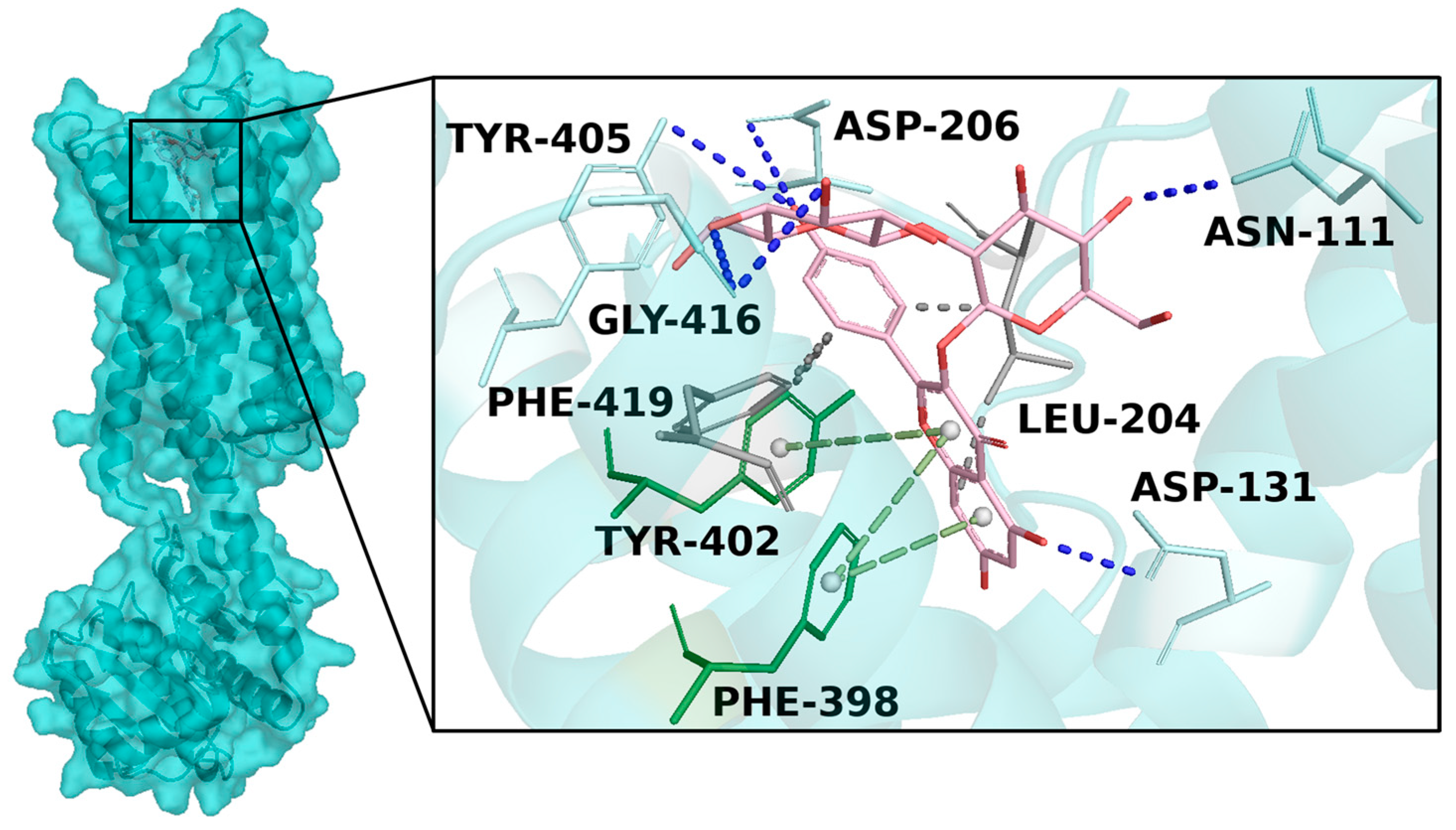 Antioxidants 13 01082 g005
