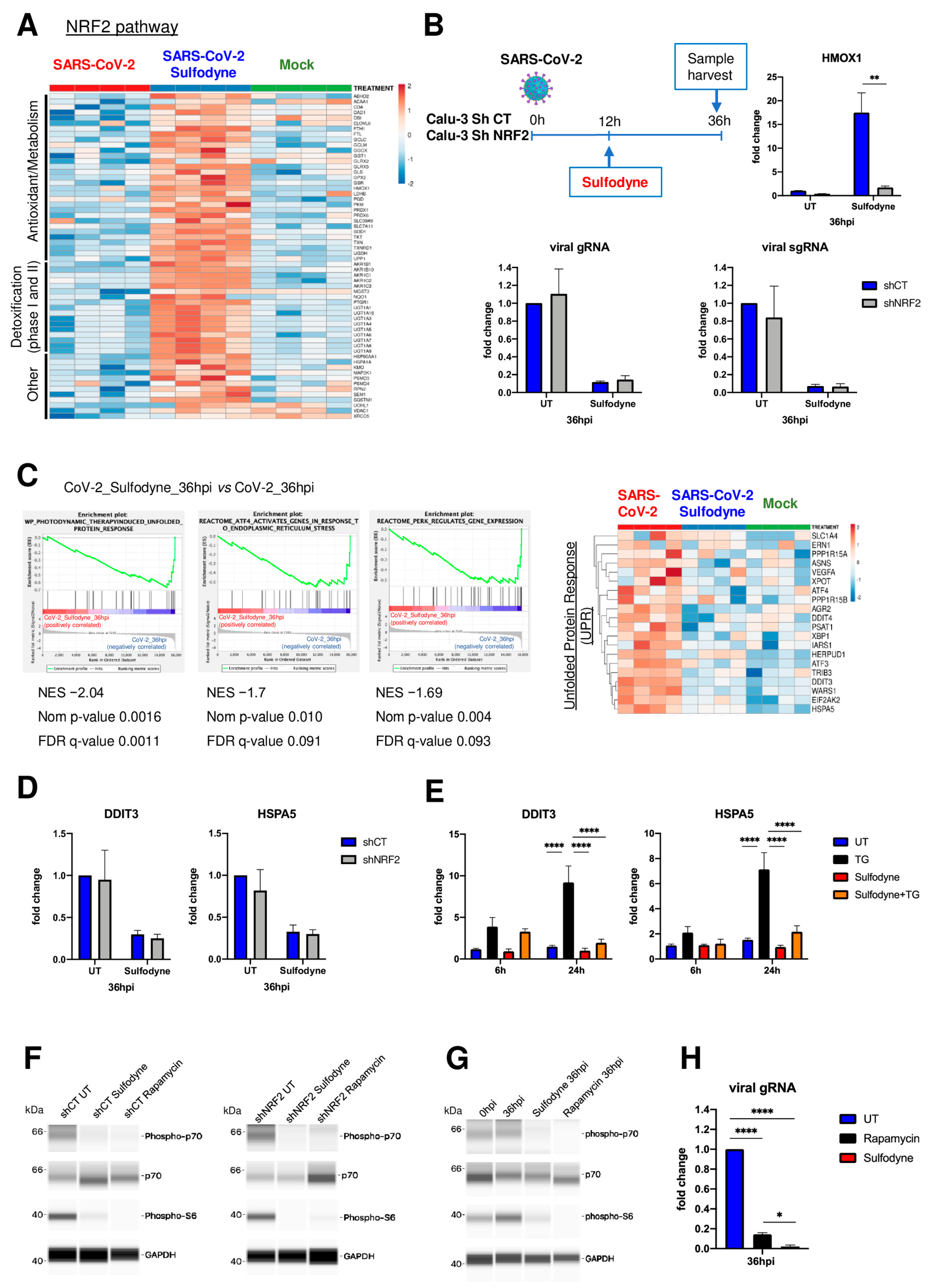 Antioxidants 13 01083 g003