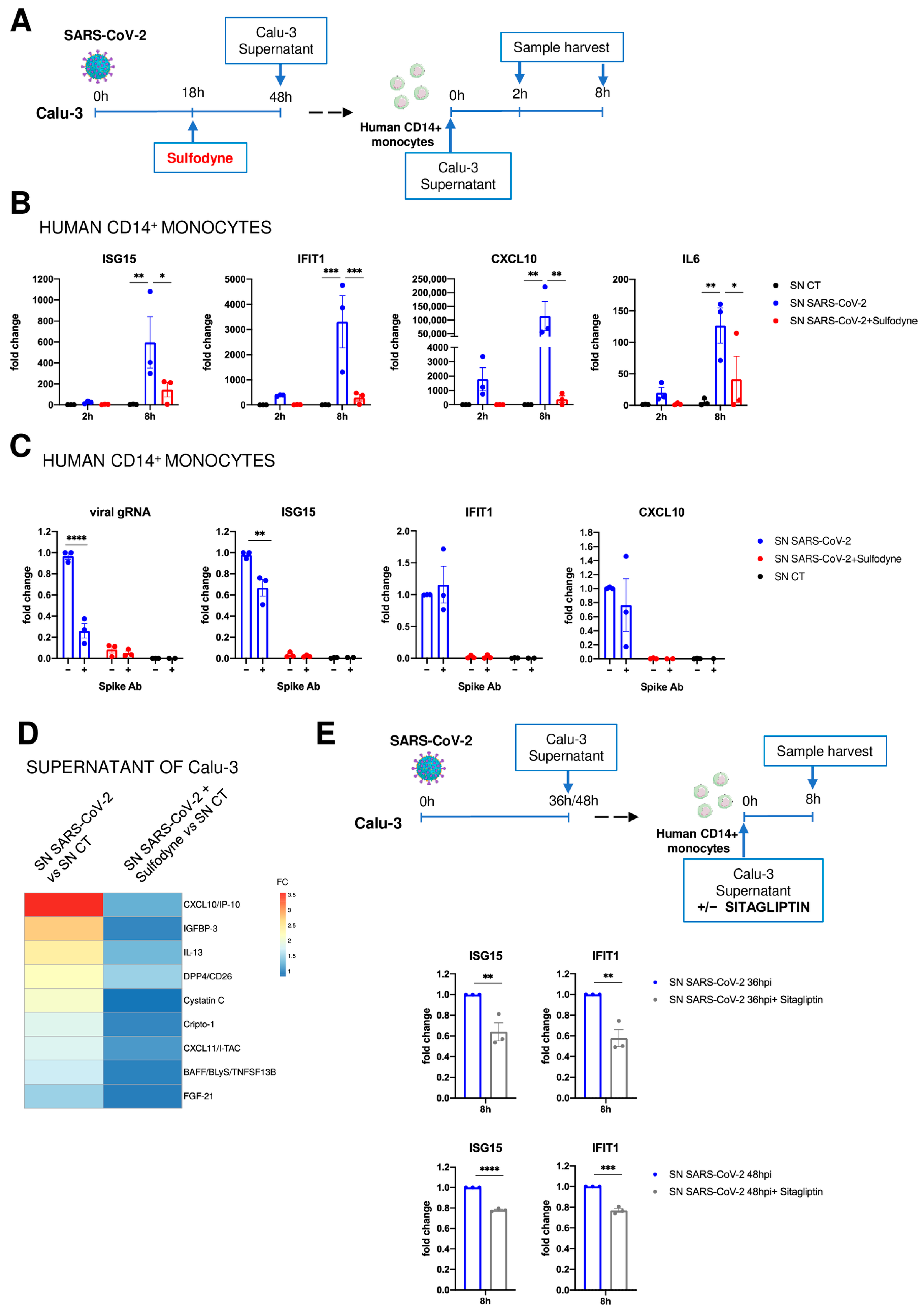 Antioxidants 13 01083 g005