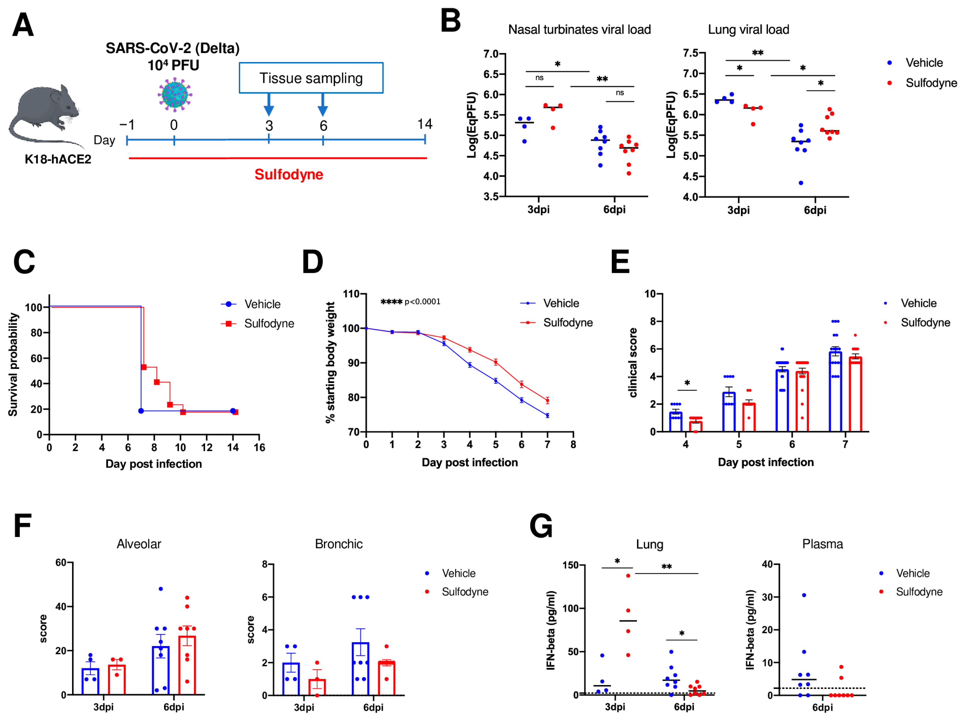 Antioxidants 13 01083 g006