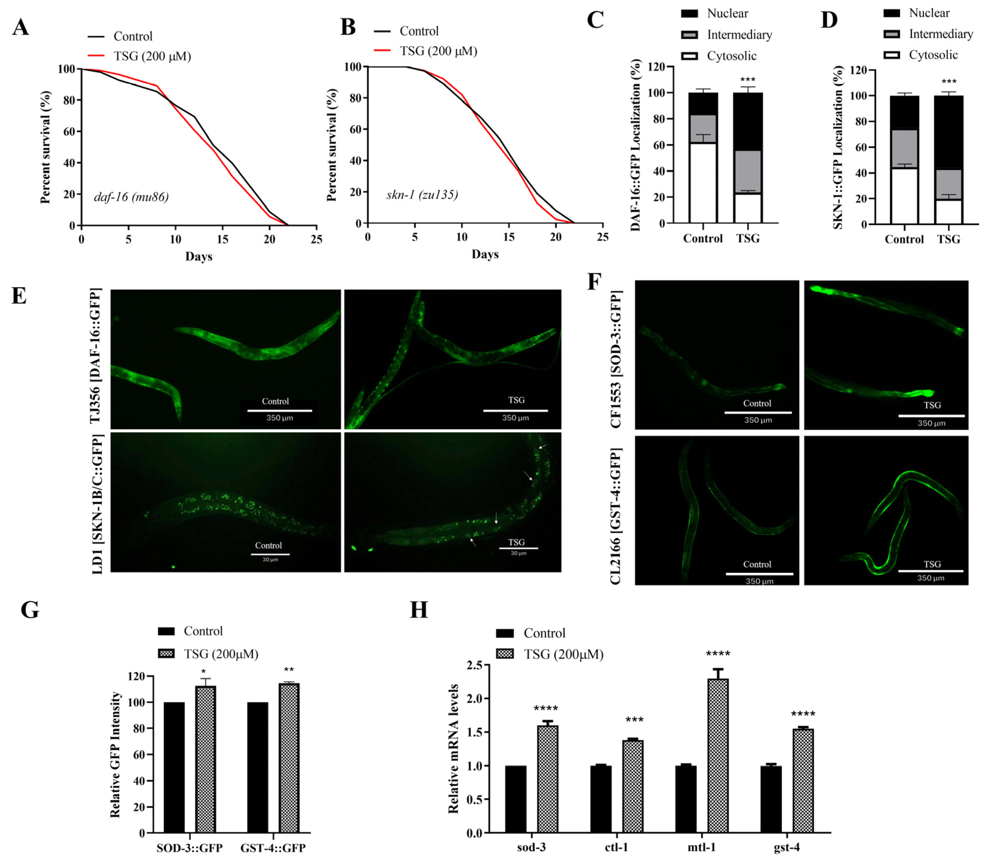 Antioxidants 13 01086 g006
