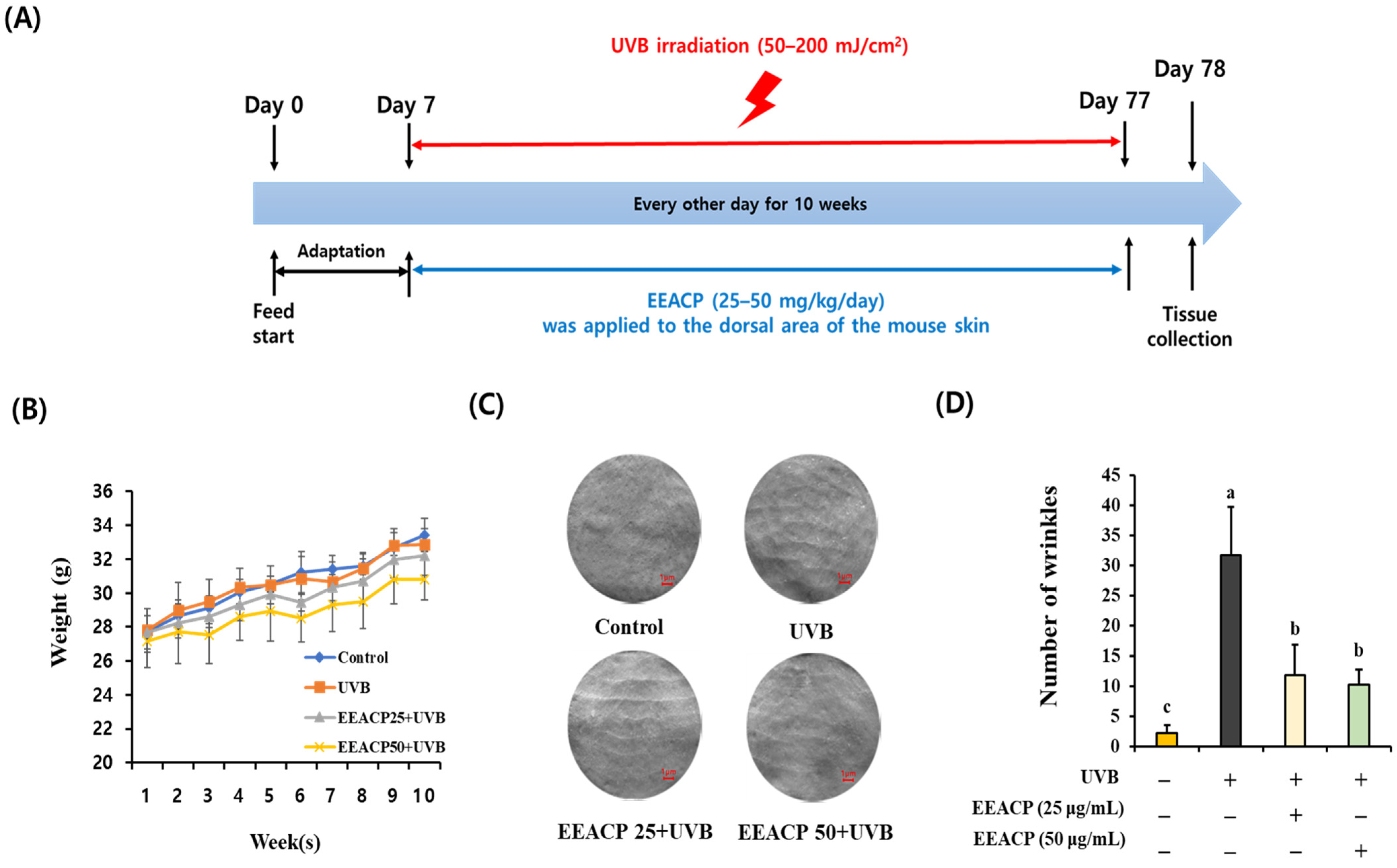 Antioxidants 13 01091 g001