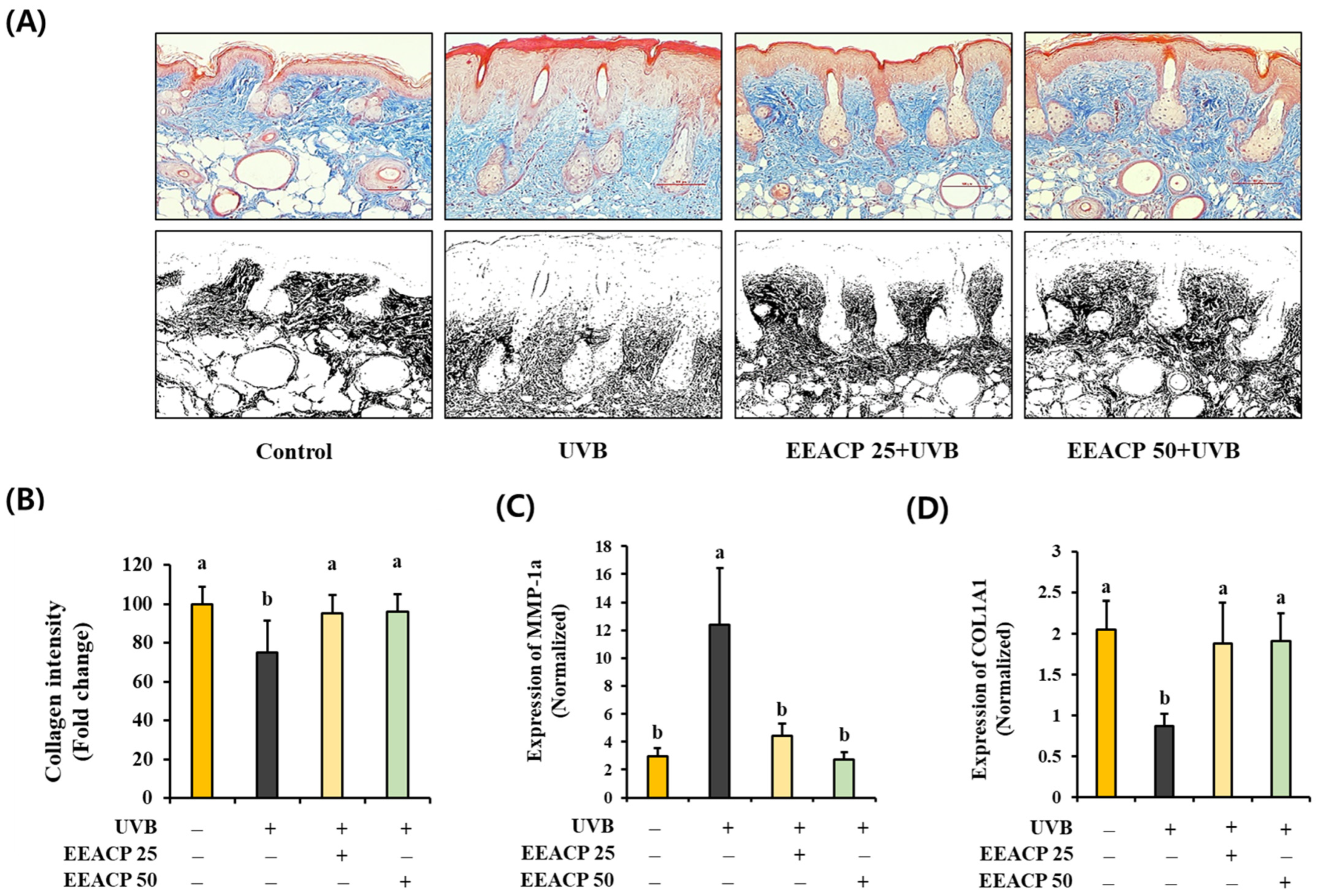 Antioxidants 13 01091 g003