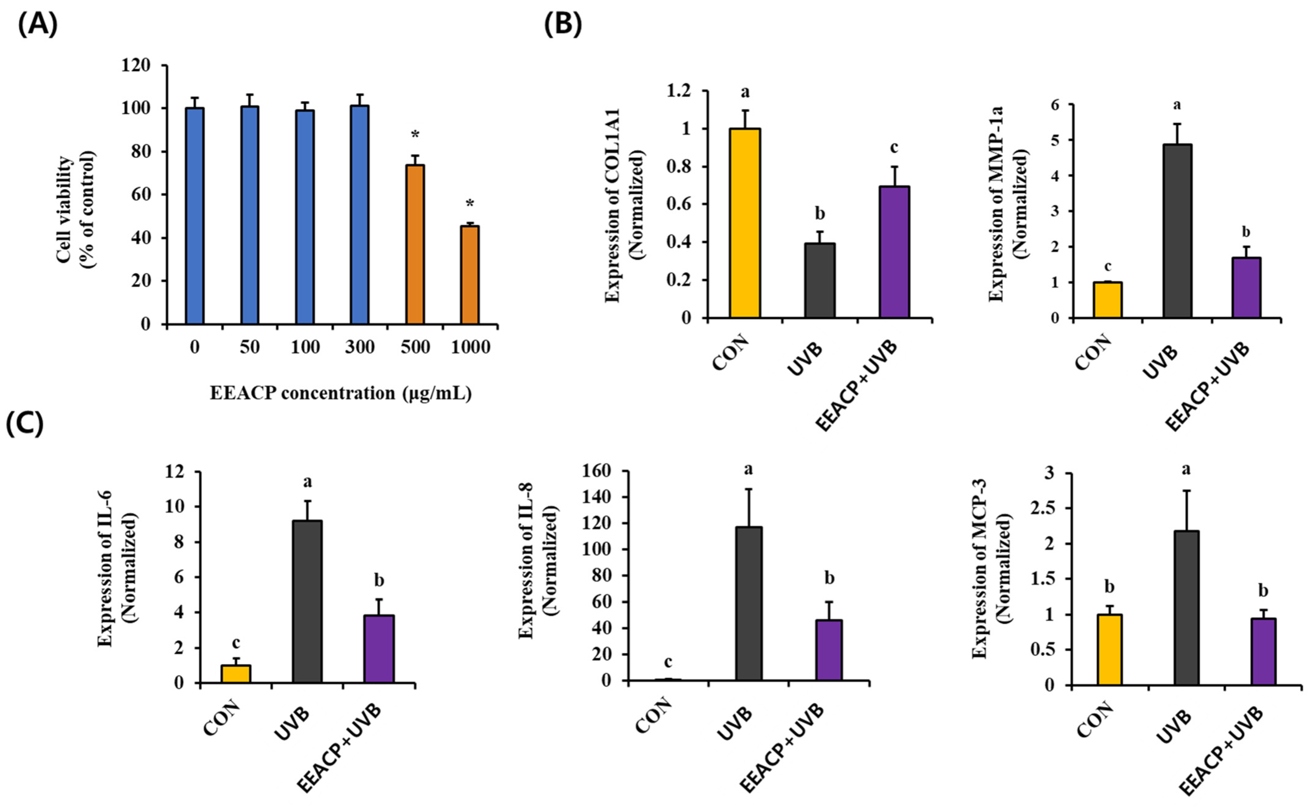 Antioxidants 13 01091 g004