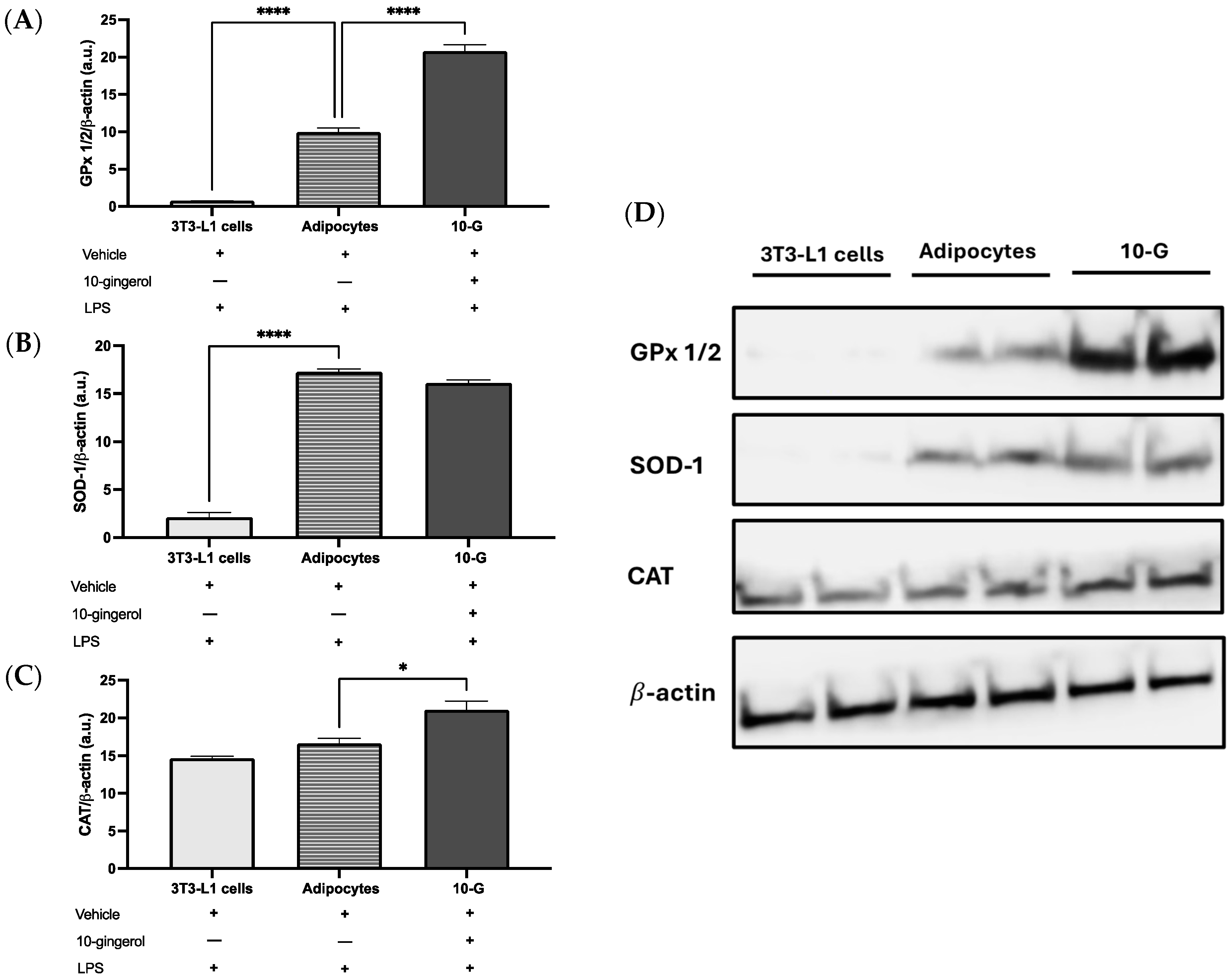 Antioxidants 13 01093 g004
