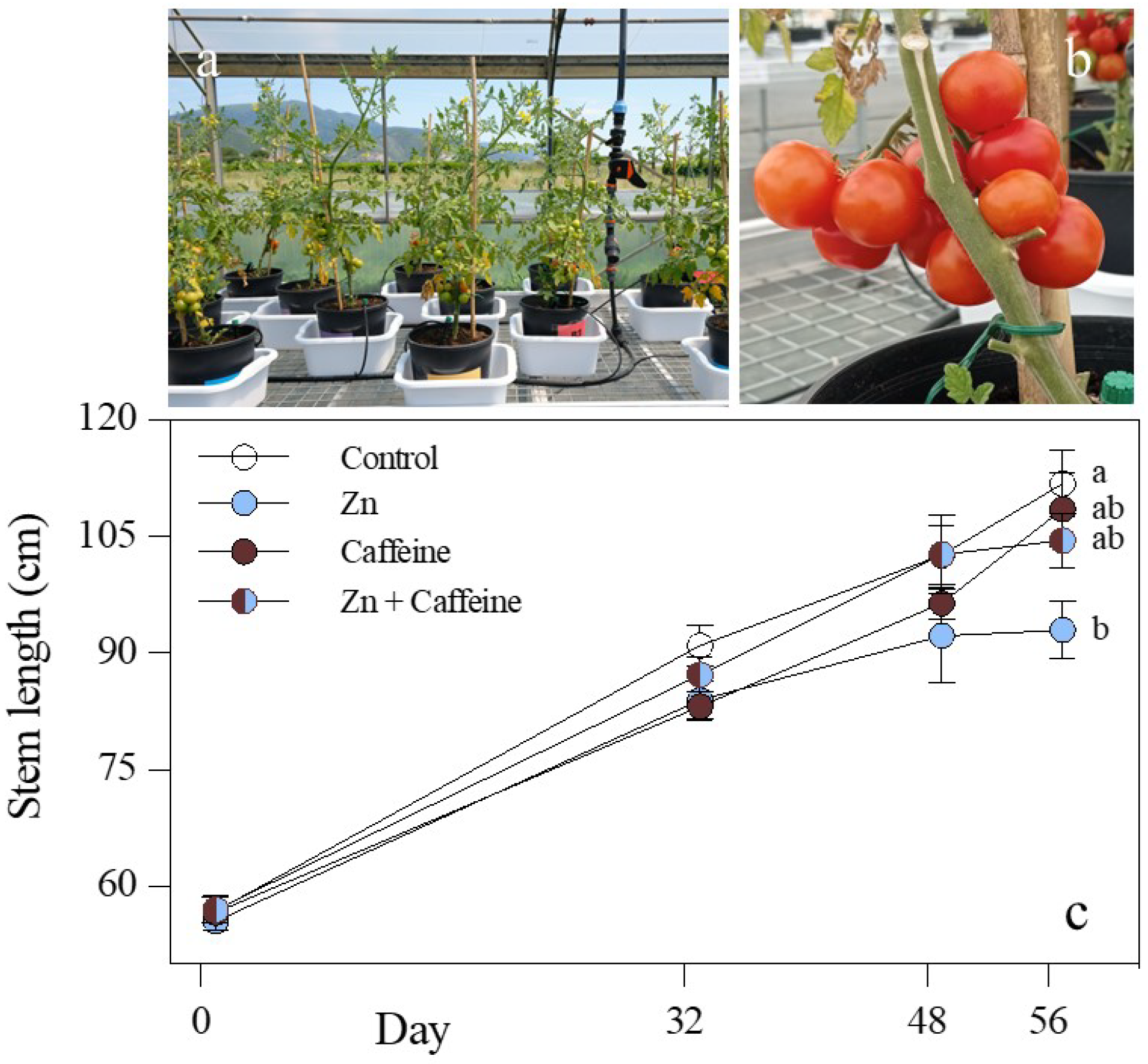 Antioxidants 13 01100 g001