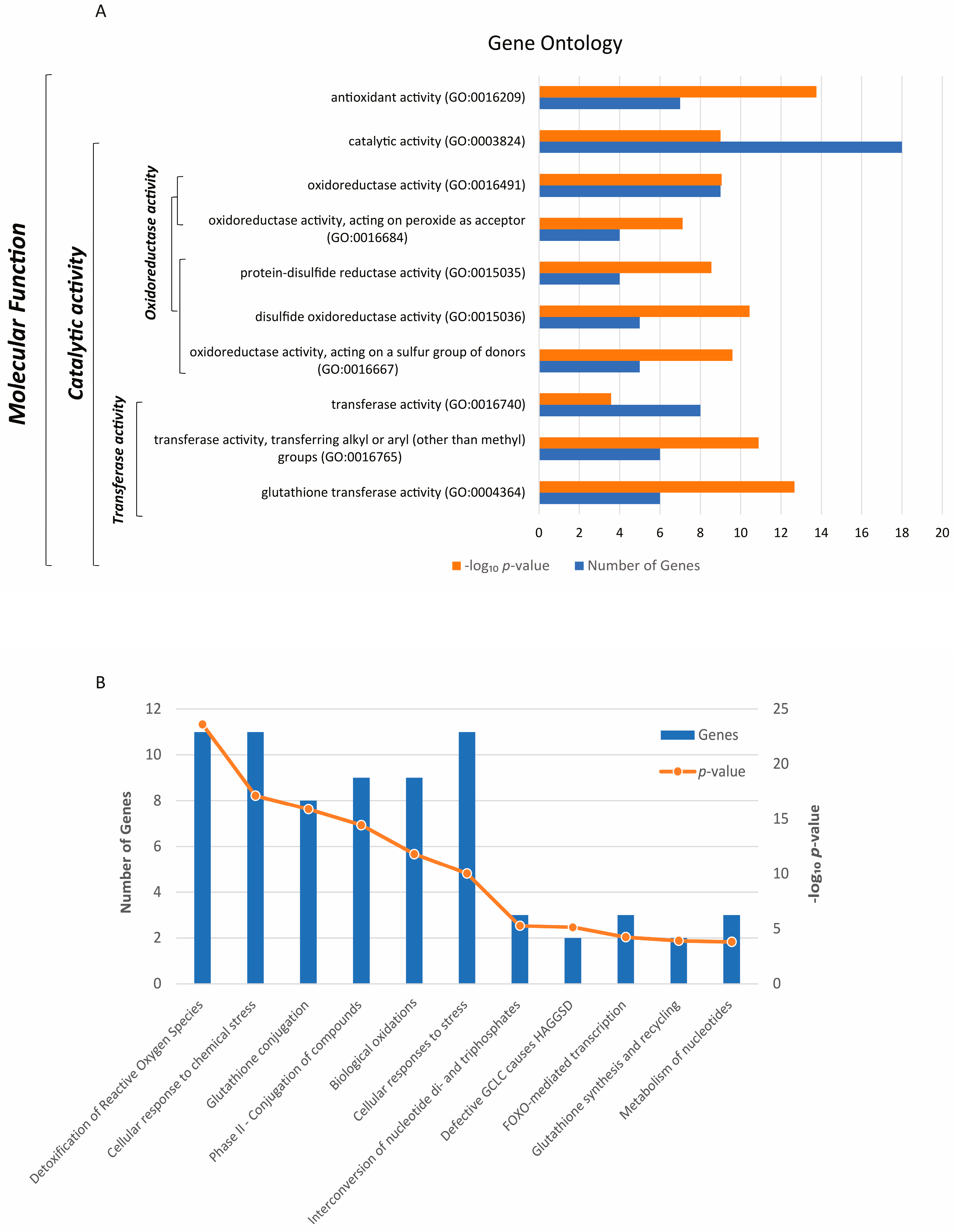 Antioxidants 13 01101 g001
