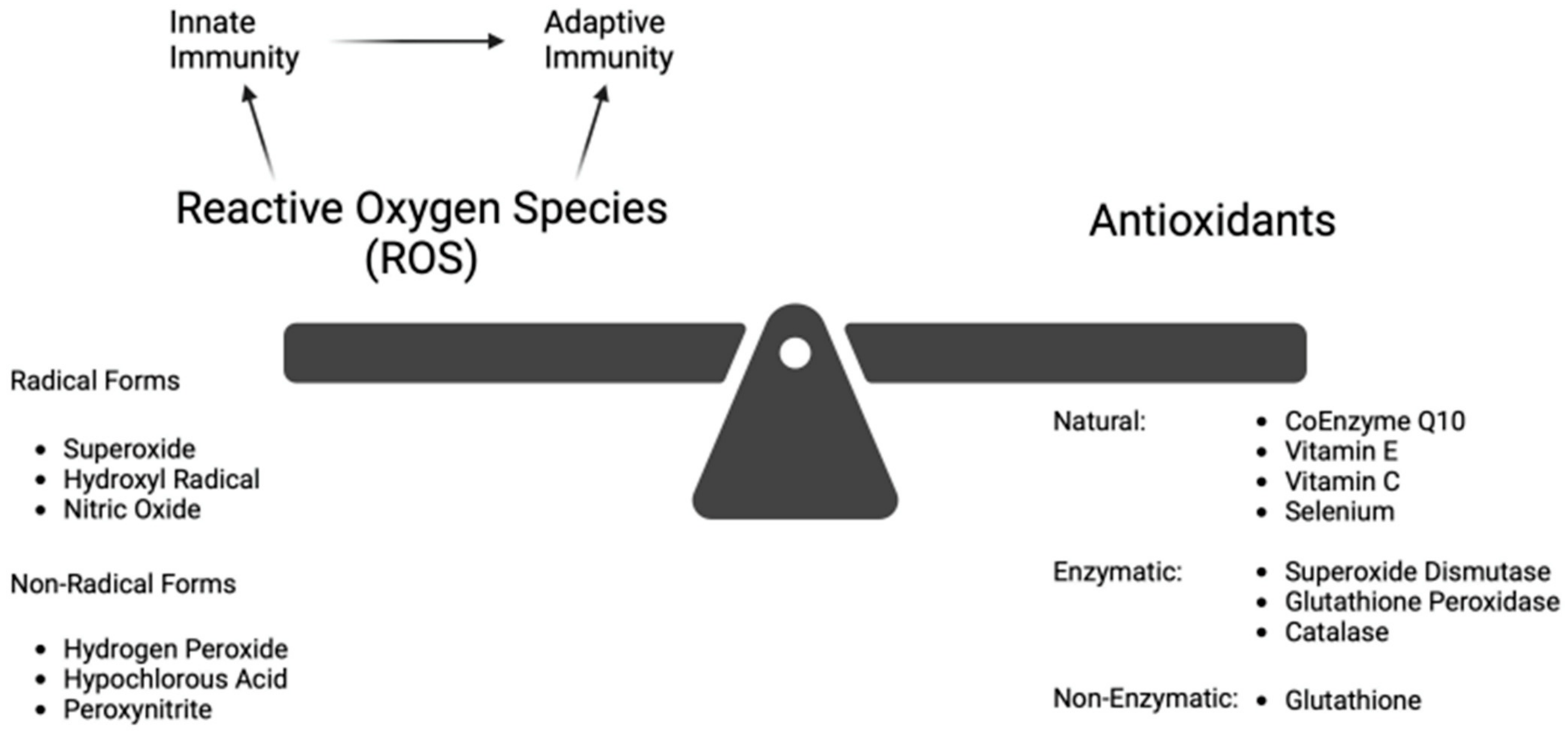 Antioxidants 13 01106 g001