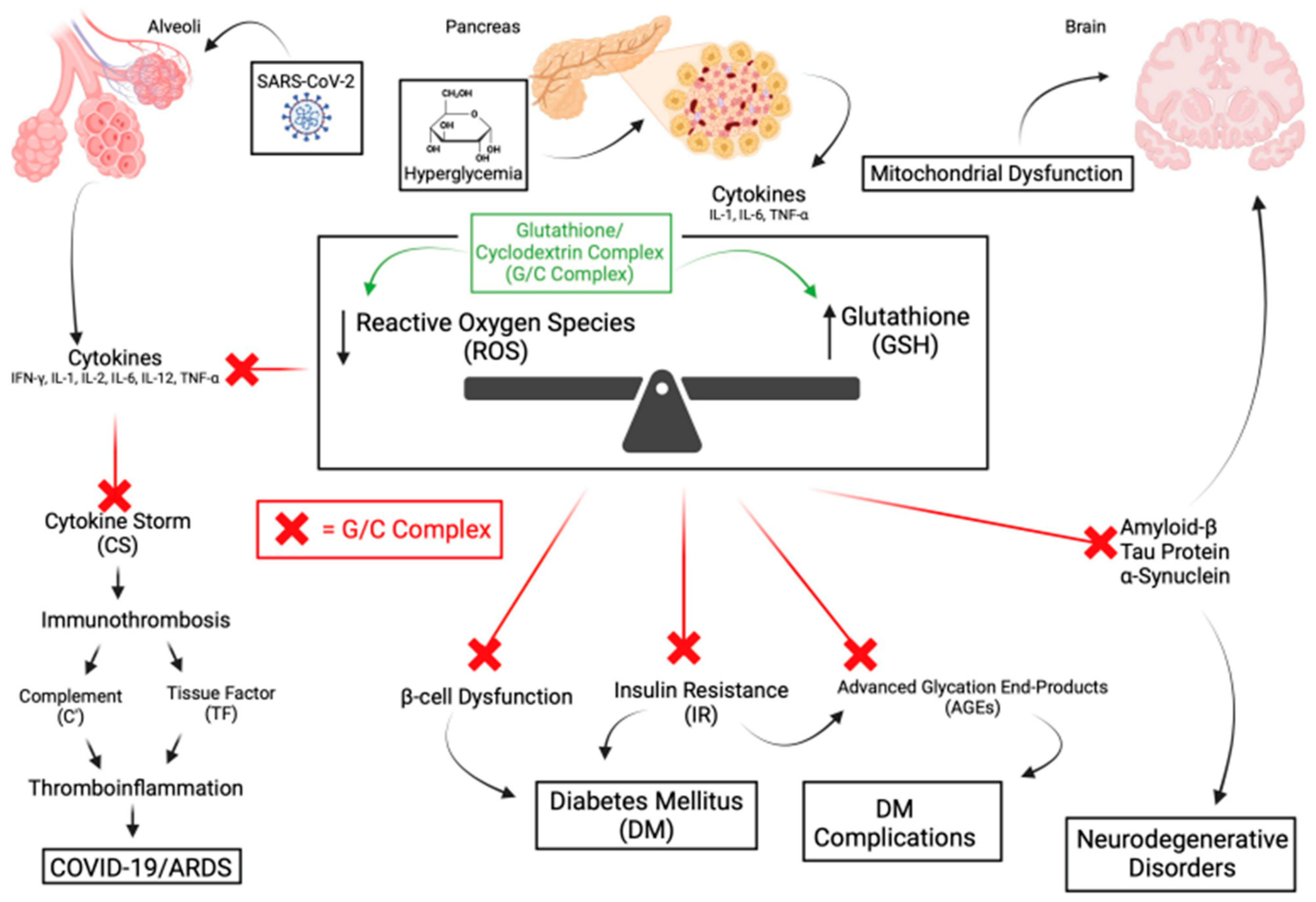 Antioxidants 13 01106 g004