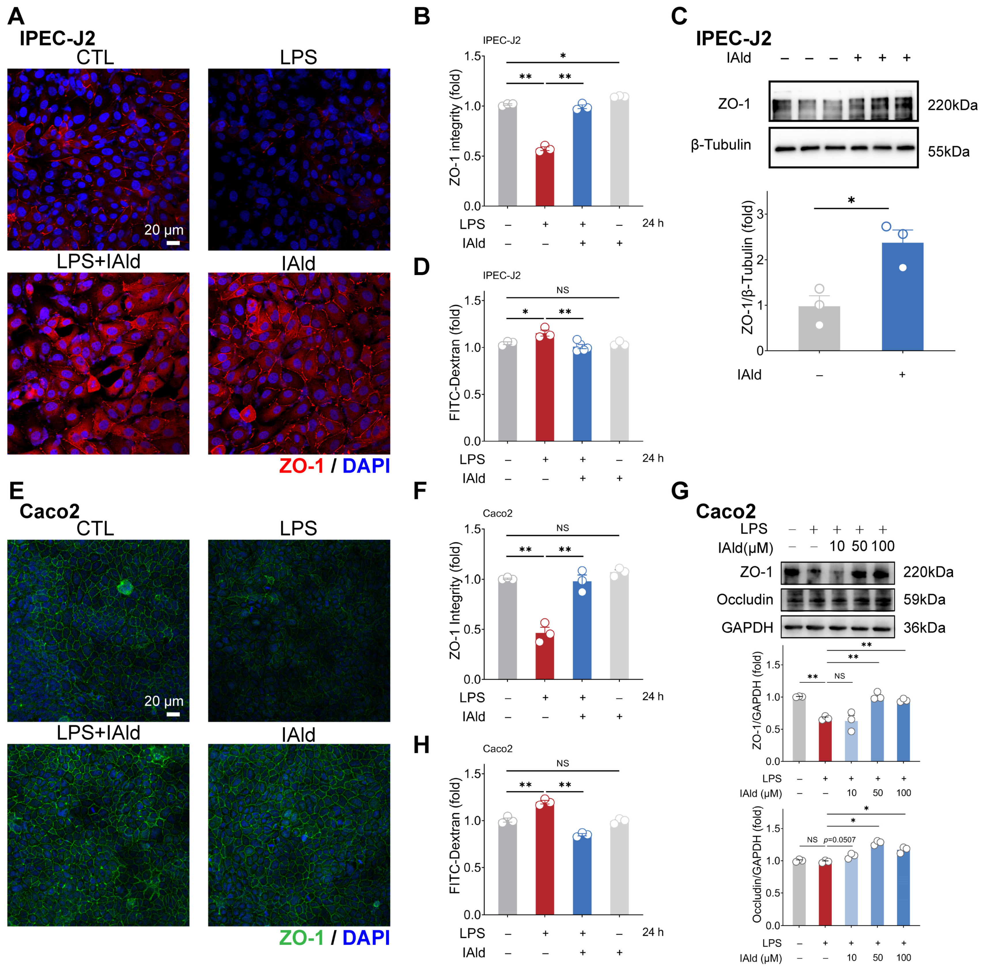 Antioxidants 13 01107 g004