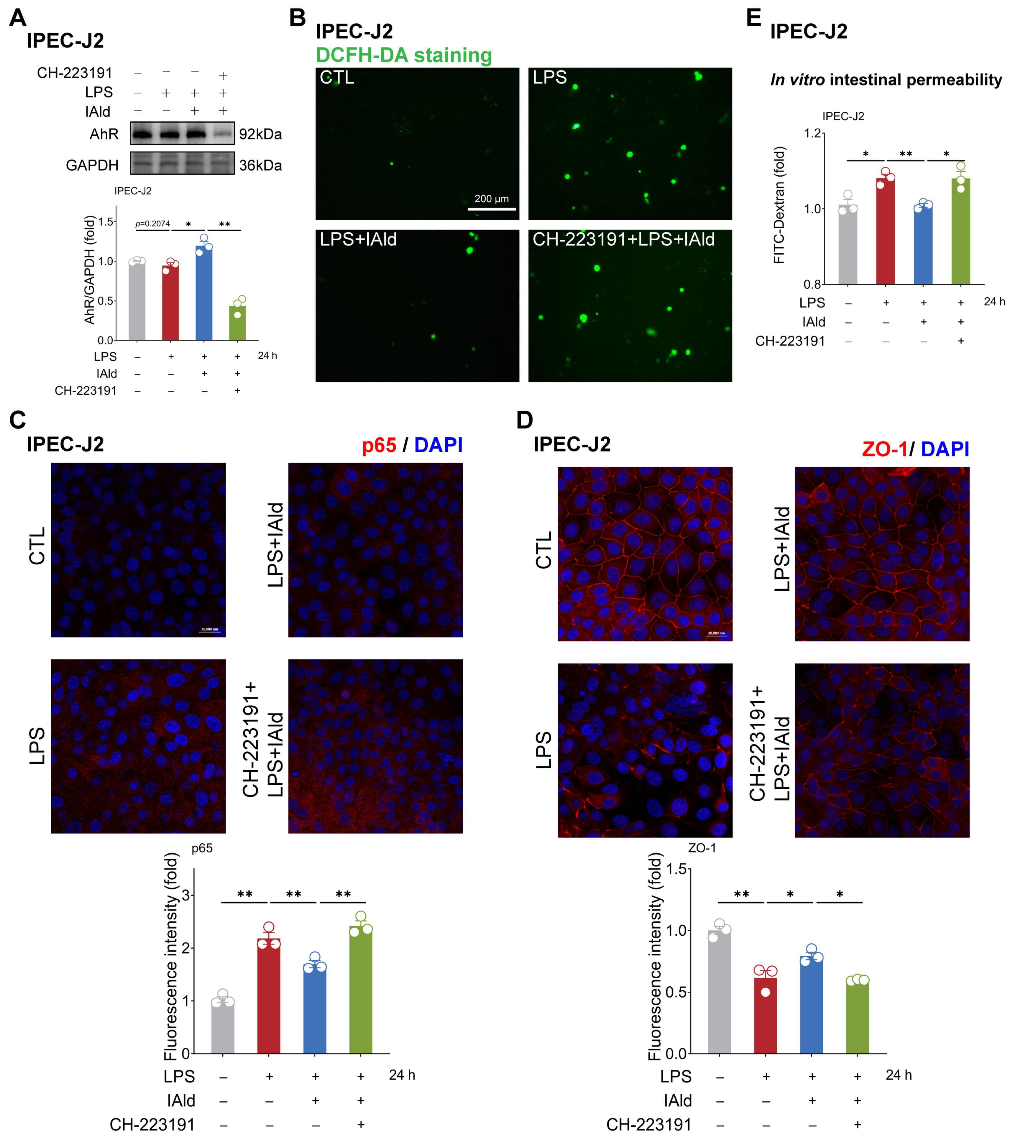 Antioxidants 13 01107 g006