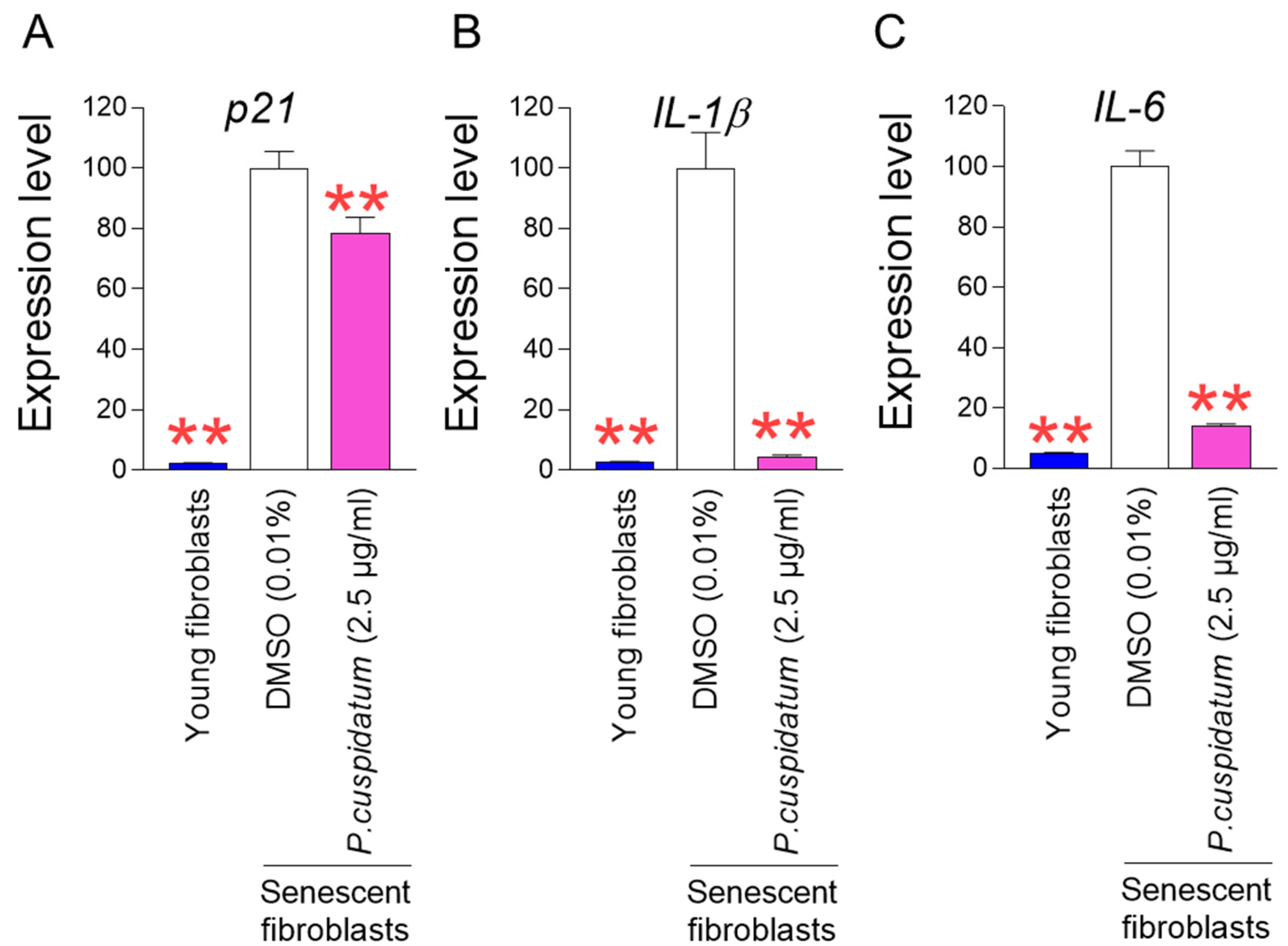Antioxidants 13 01110 g002