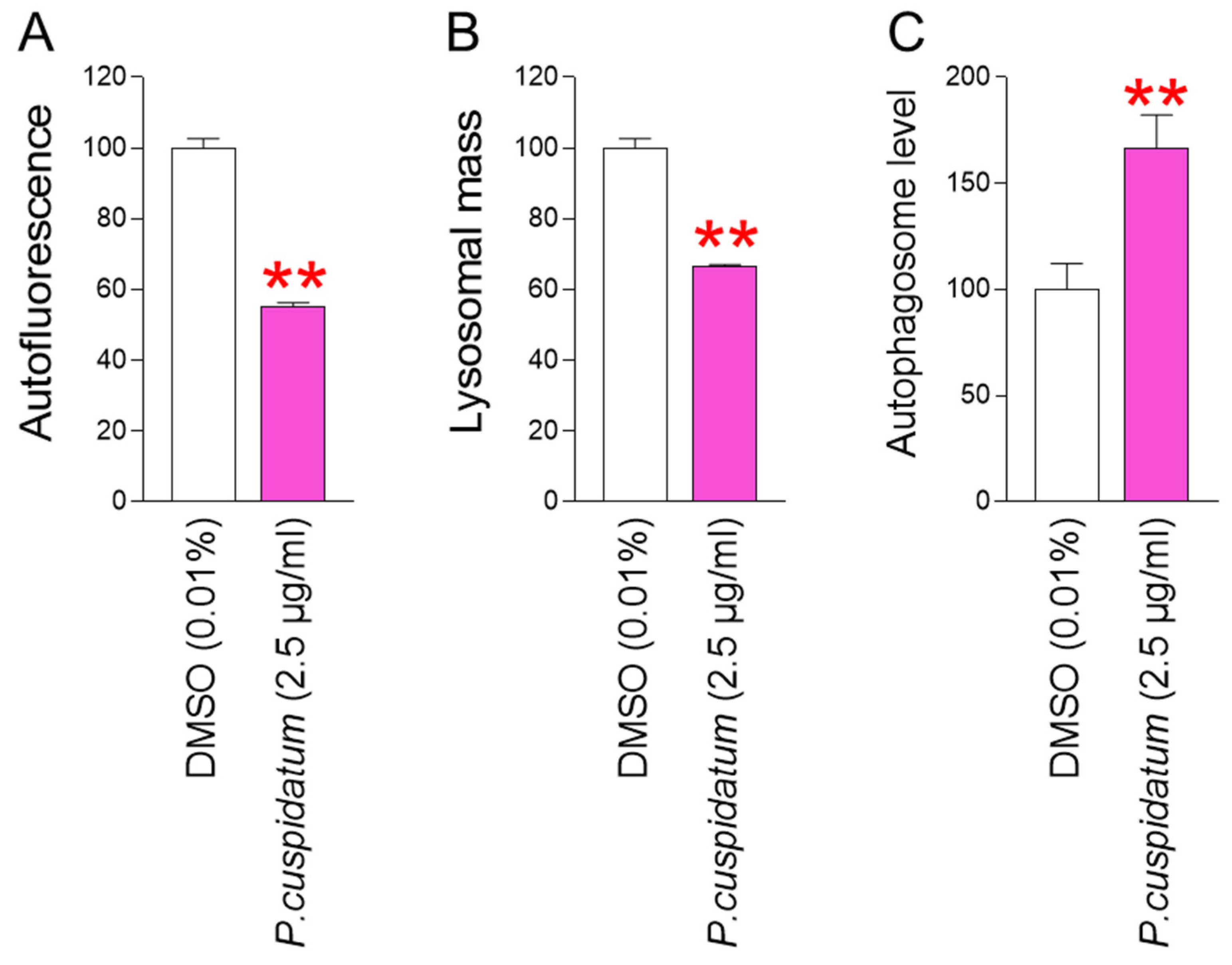 Antioxidants 13 01110 g004