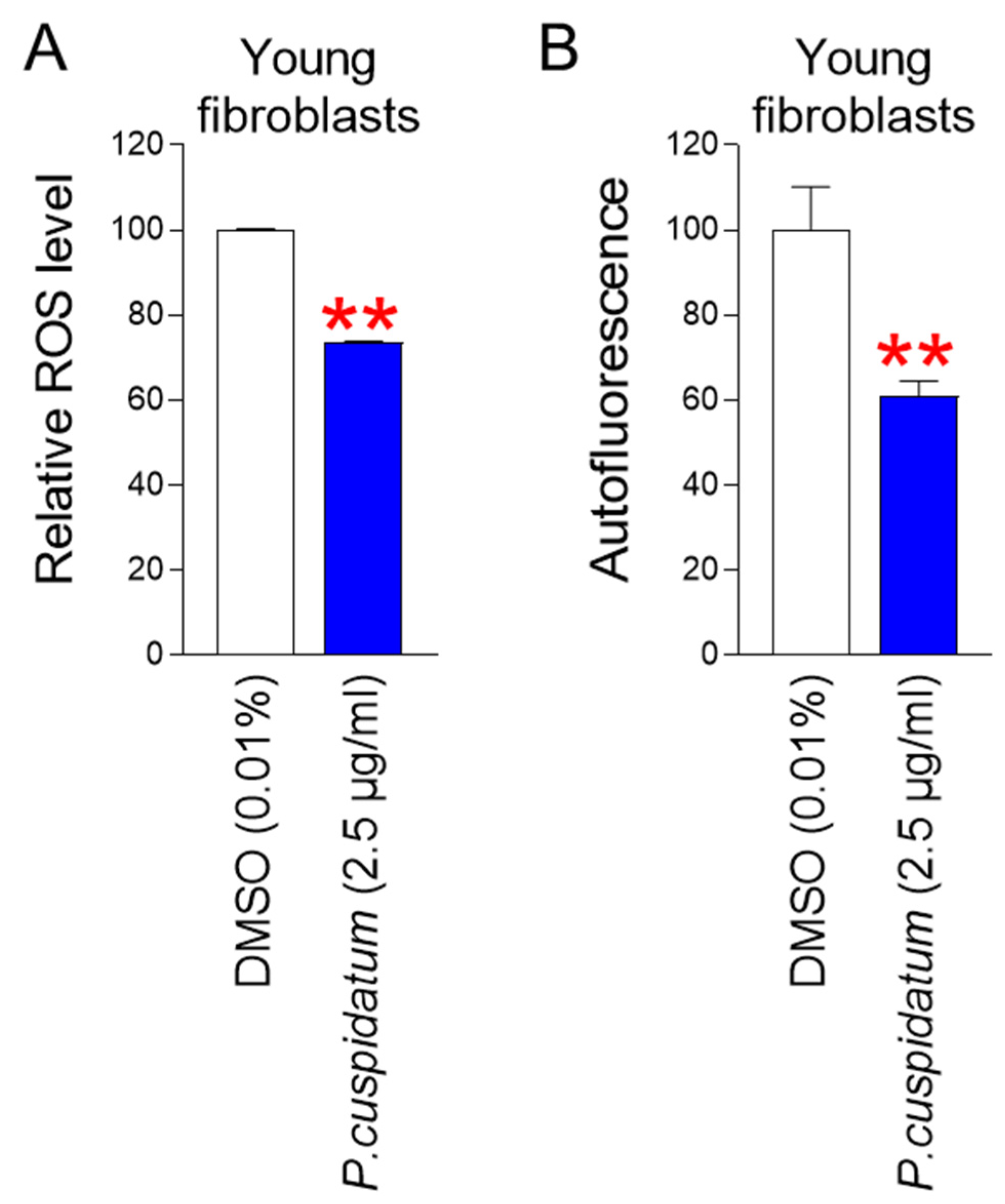Antioxidants 13 01110 g005