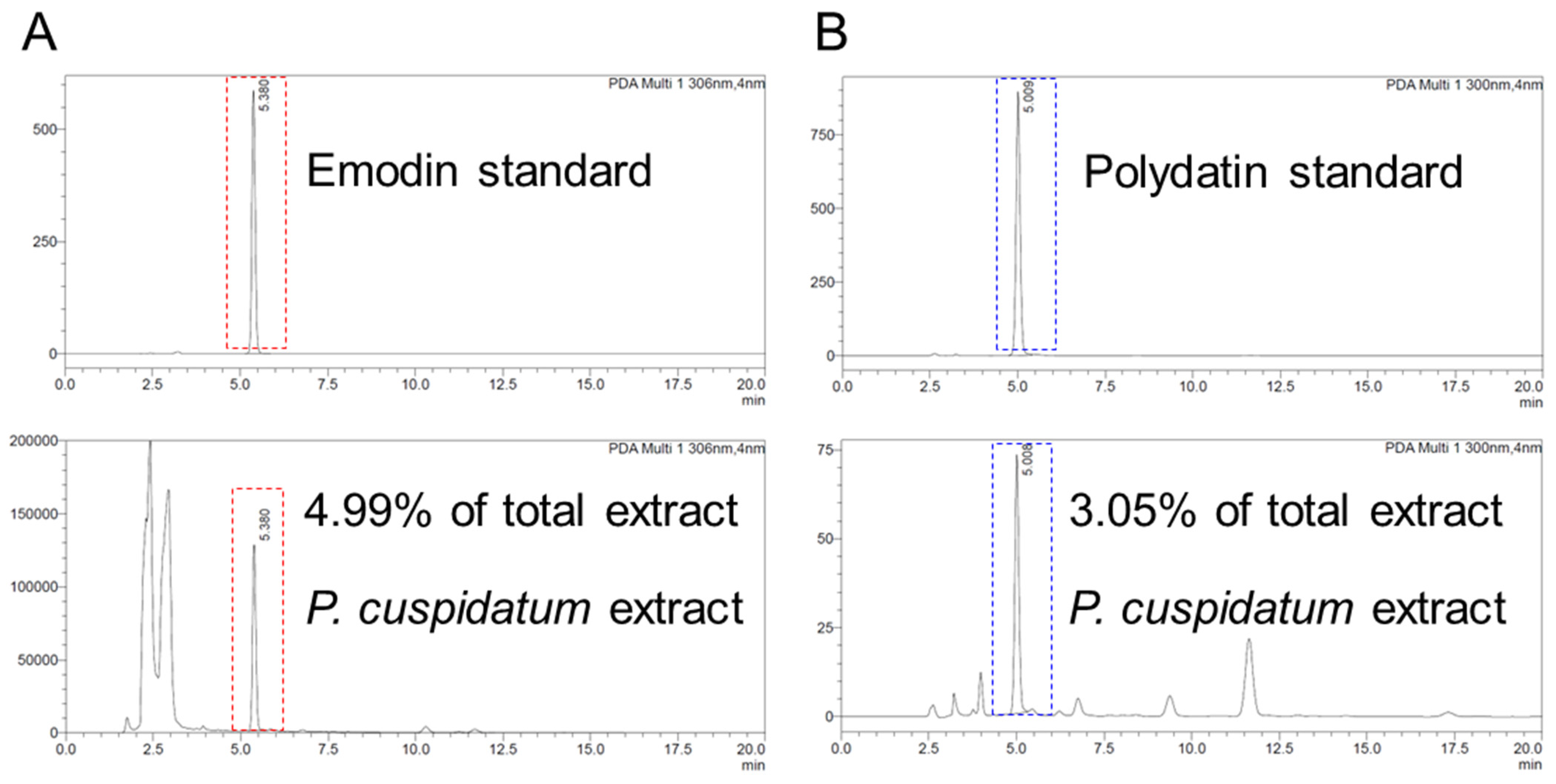 Antioxidants 13 01110 g008
