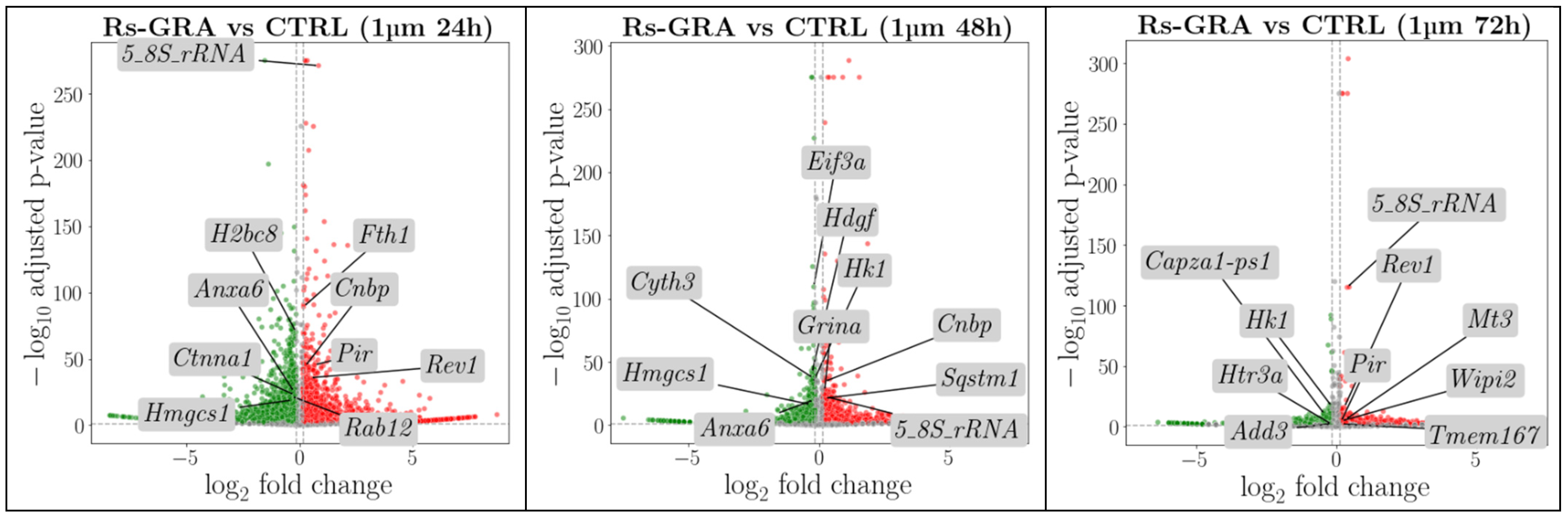 Antioxidants 13 01111 g003a