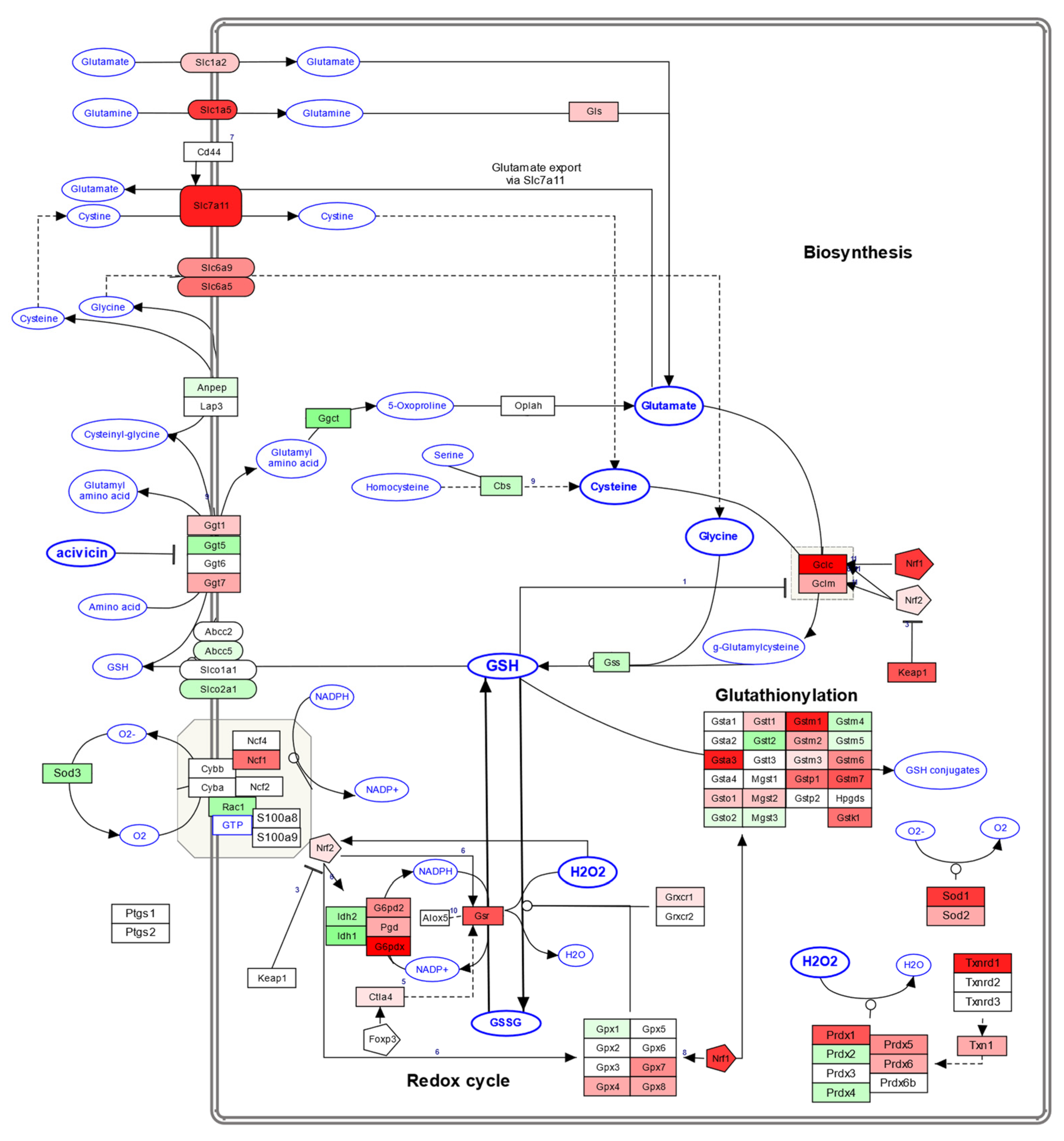 Antioxidants 13 01111 g009