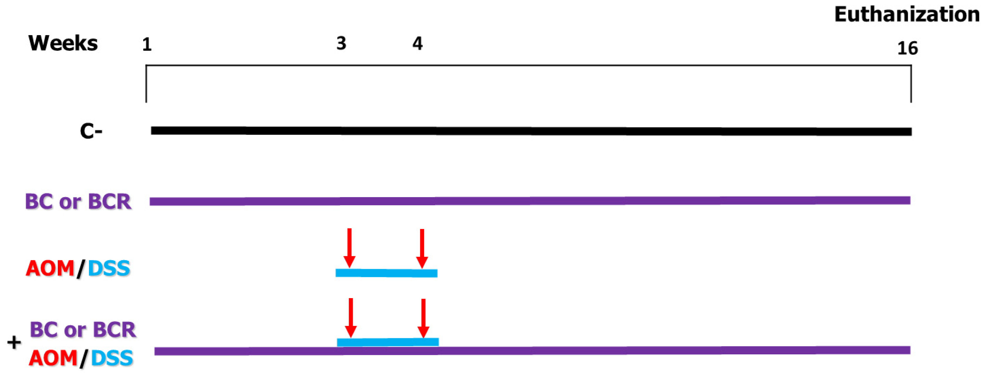 Antioxidants 13 01112 g001