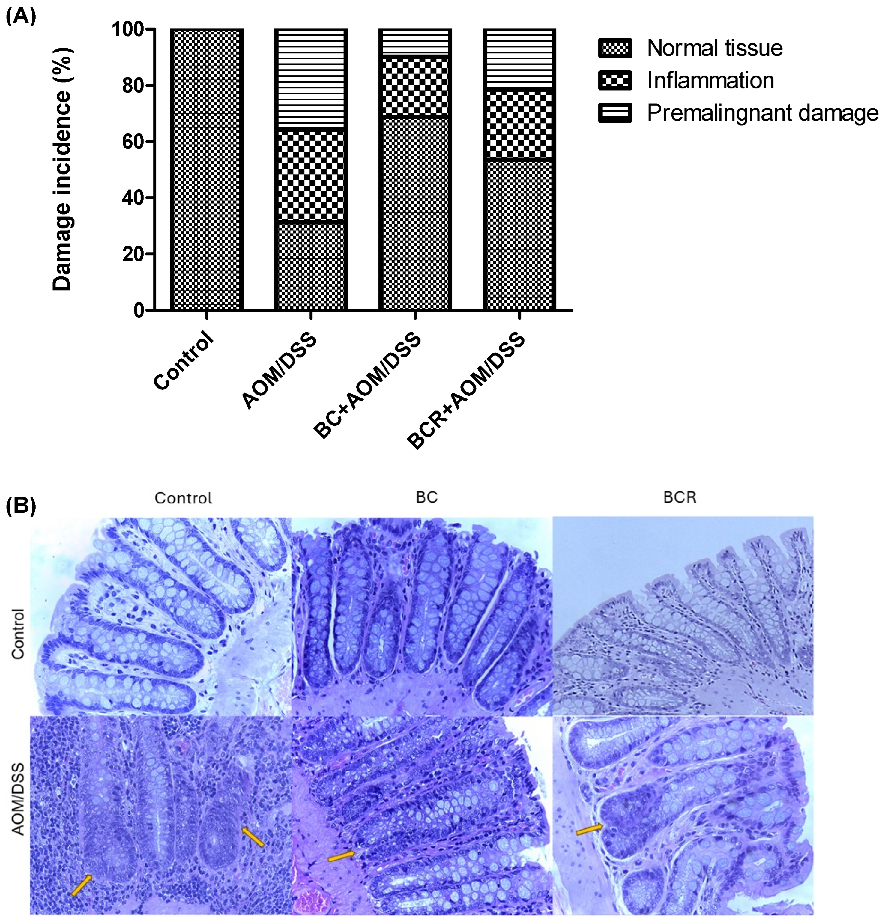 Antioxidants 13 01112 g003