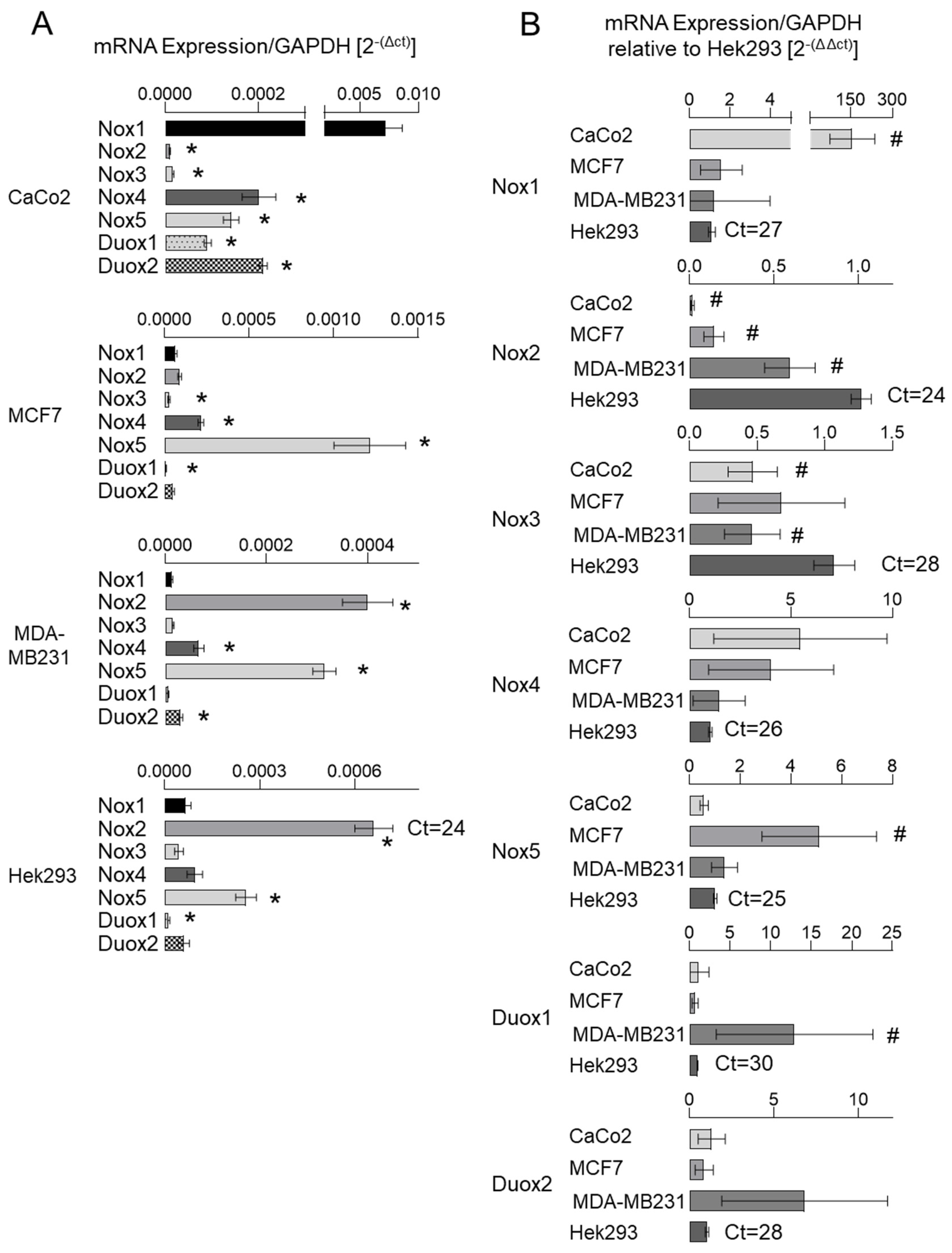 Antioxidants 13 01113 g001