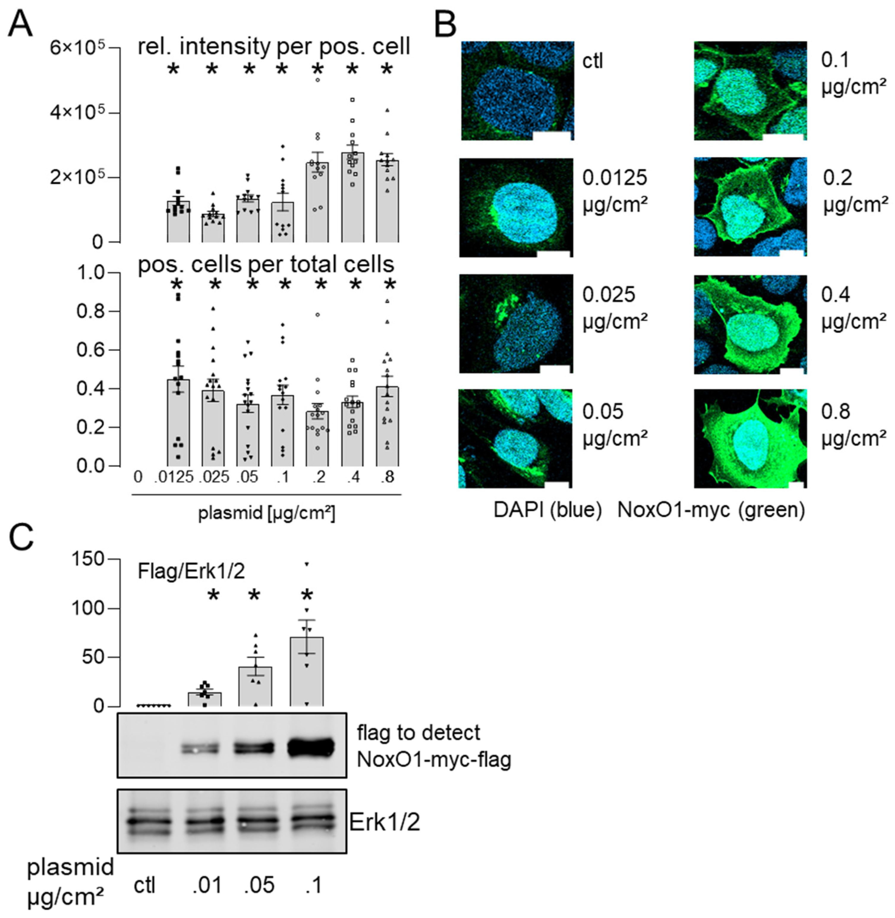 Antioxidants 13 01113 g003